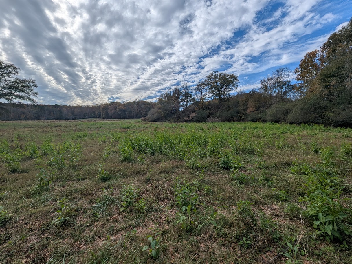 Bowdon, Georgia, 30108, United States, ,Land,For Sale,1989904