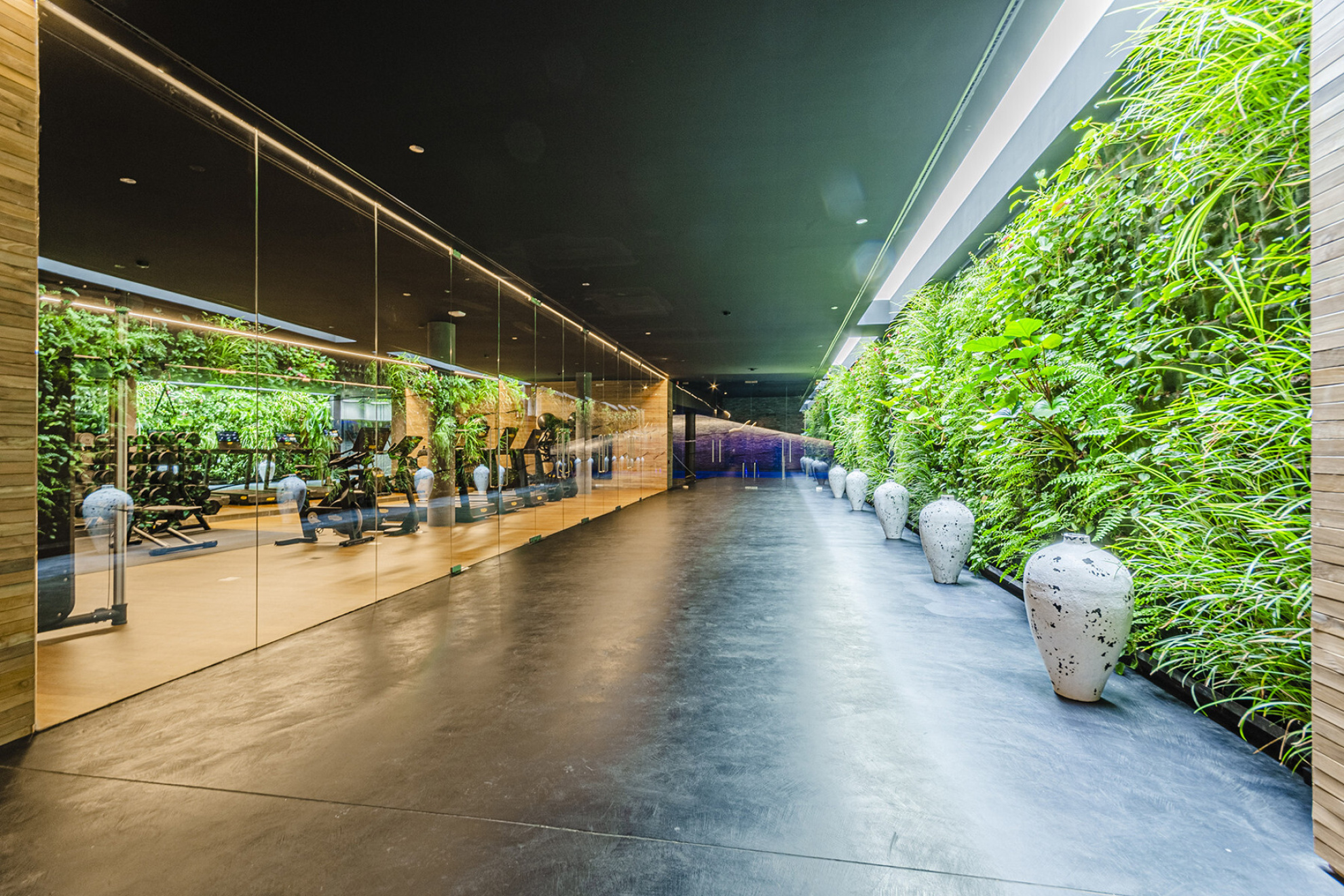  Antares. An excellent new development that awakens all the senses. - 物件實景
