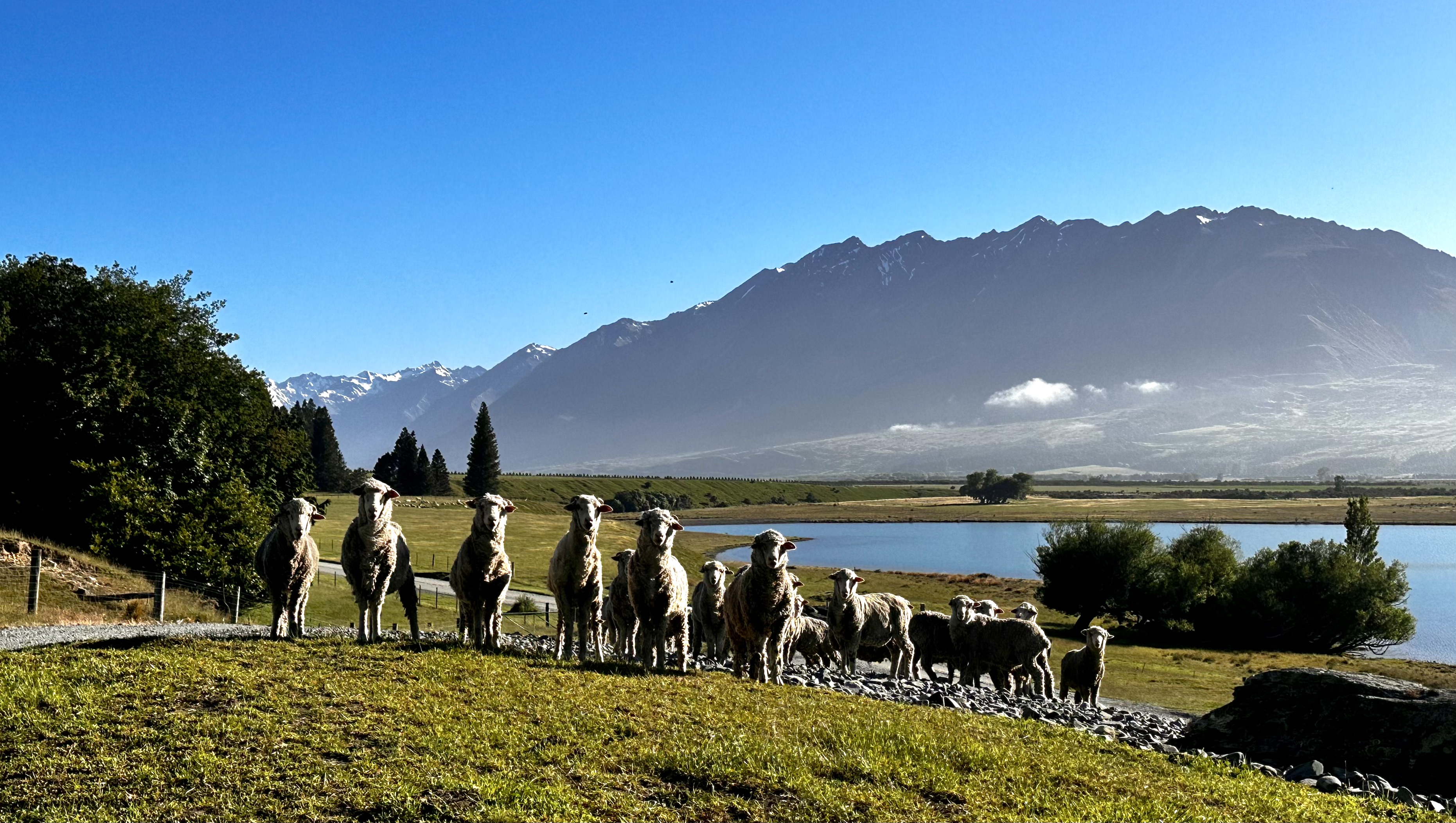  Lake Ohau Station - 物件實景
