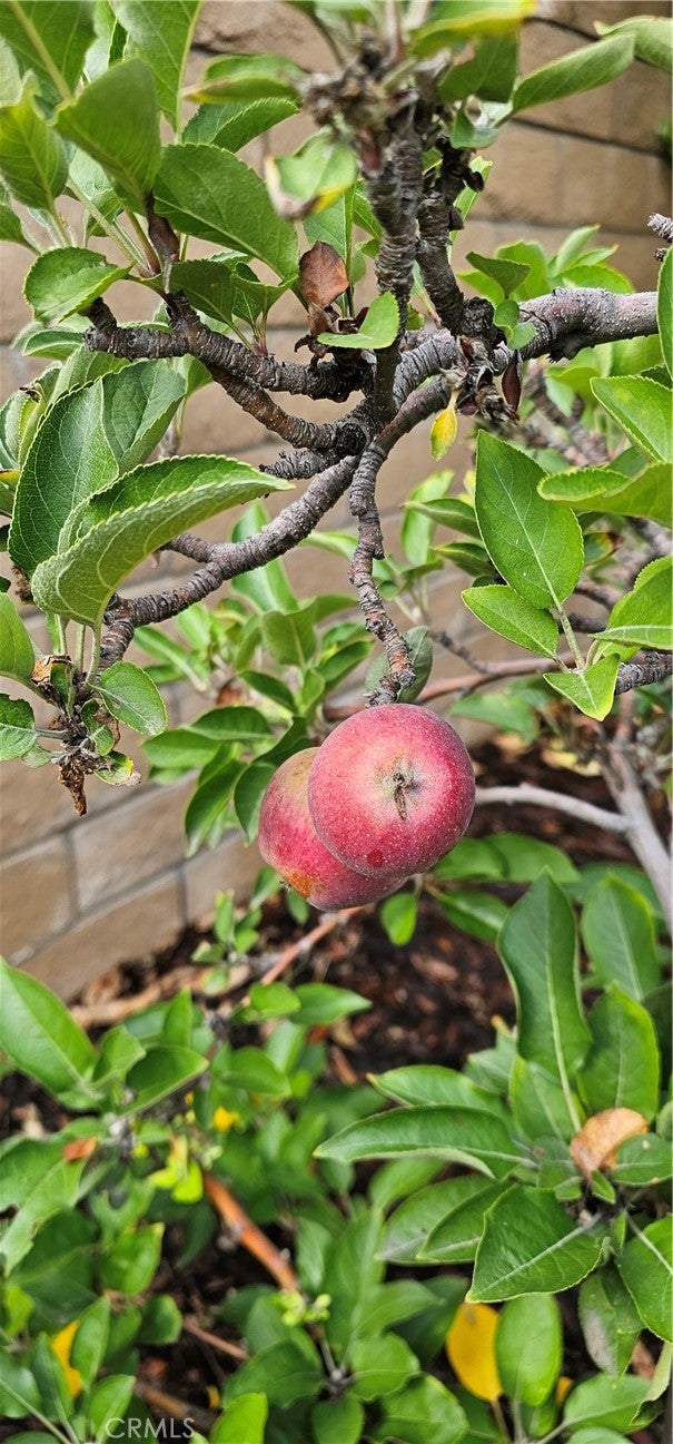 Redlands, California, 92373, United States, 4 Bedrooms Bedrooms, ,2 BathroomsBathrooms,Residential,For Sale,1994267