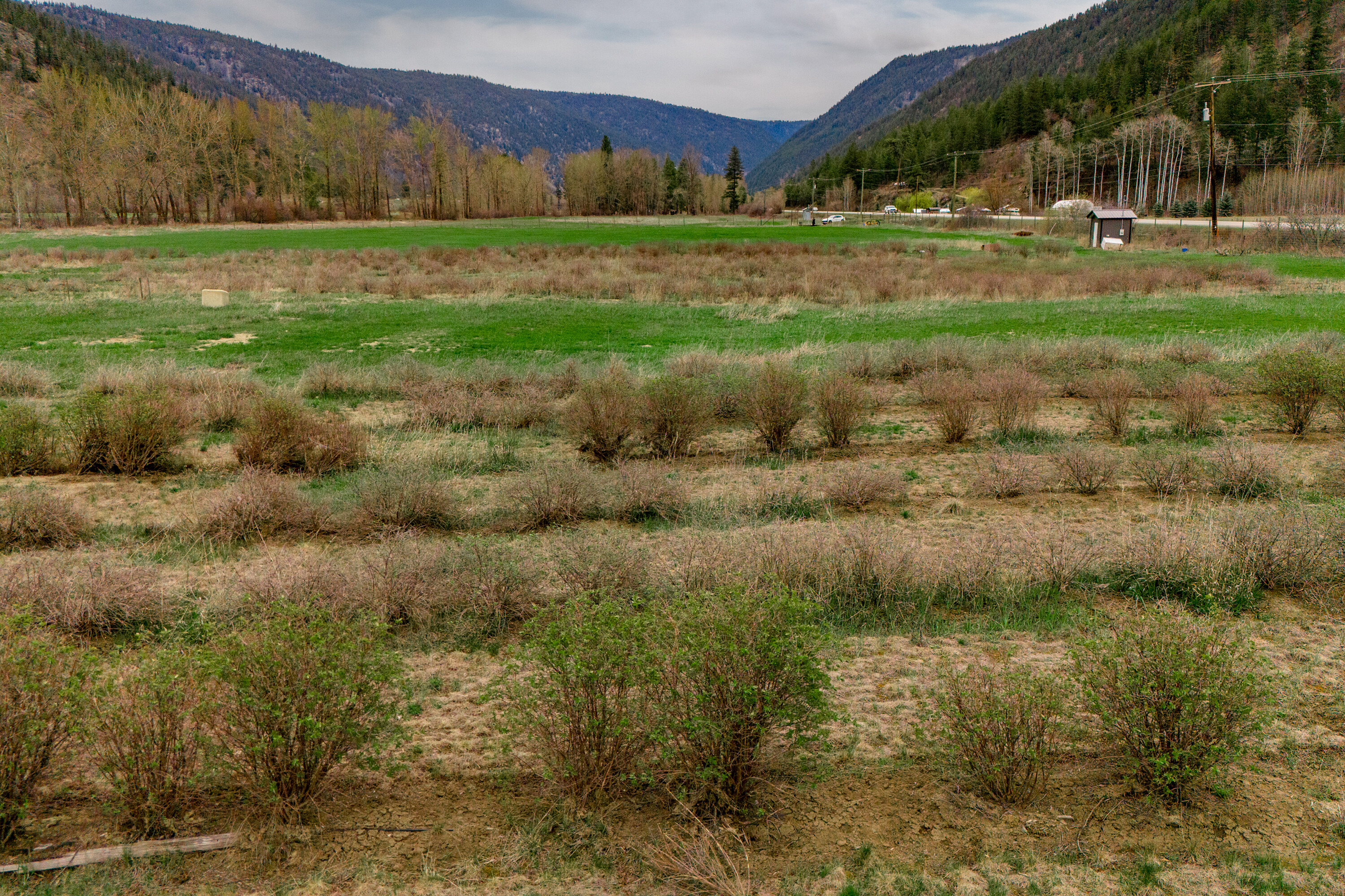  Riverside Farm - 物件實景