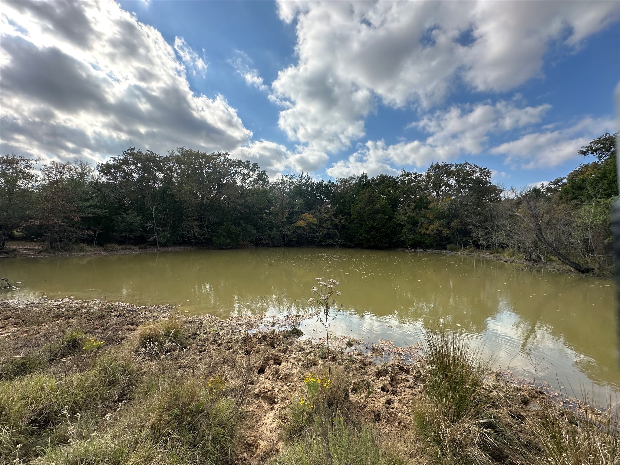 Thornton, Texas, 76687, United States, ,Land,For Sale,1995546