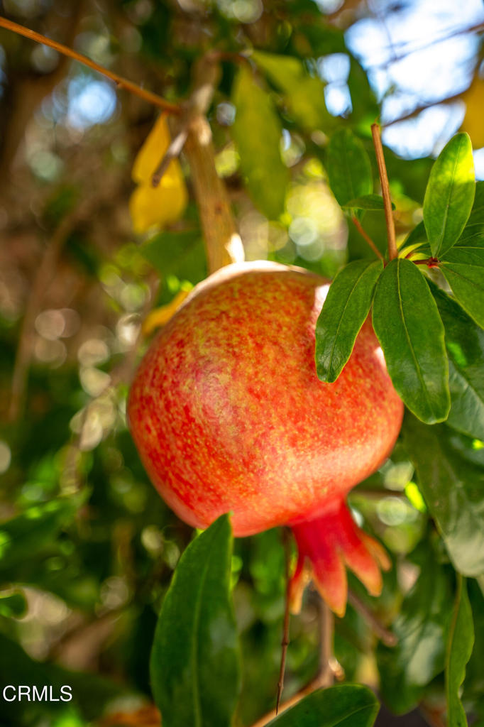 Camarillo, California, 93010, United States, 2 Bedrooms Bedrooms, ,2 BathroomsBathrooms,Residential,For Sale,1982088