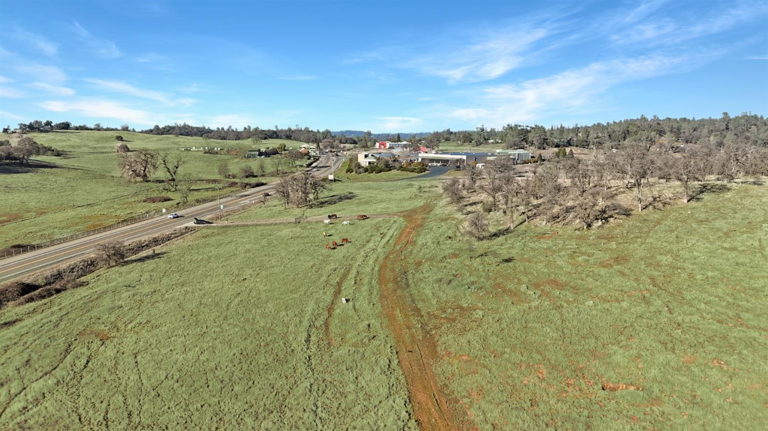 Cool, California, 95614, United States, ,Residential,For Sale,1869298