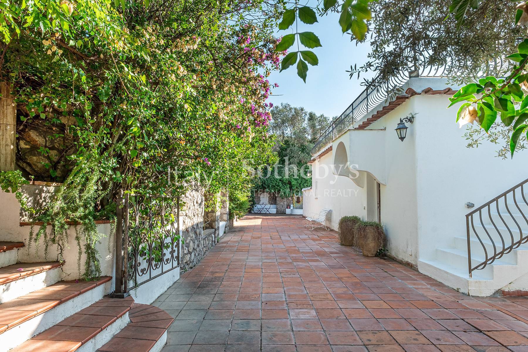  Charming villa with olive grove and swimming pool overlooking the sea - 物件實景