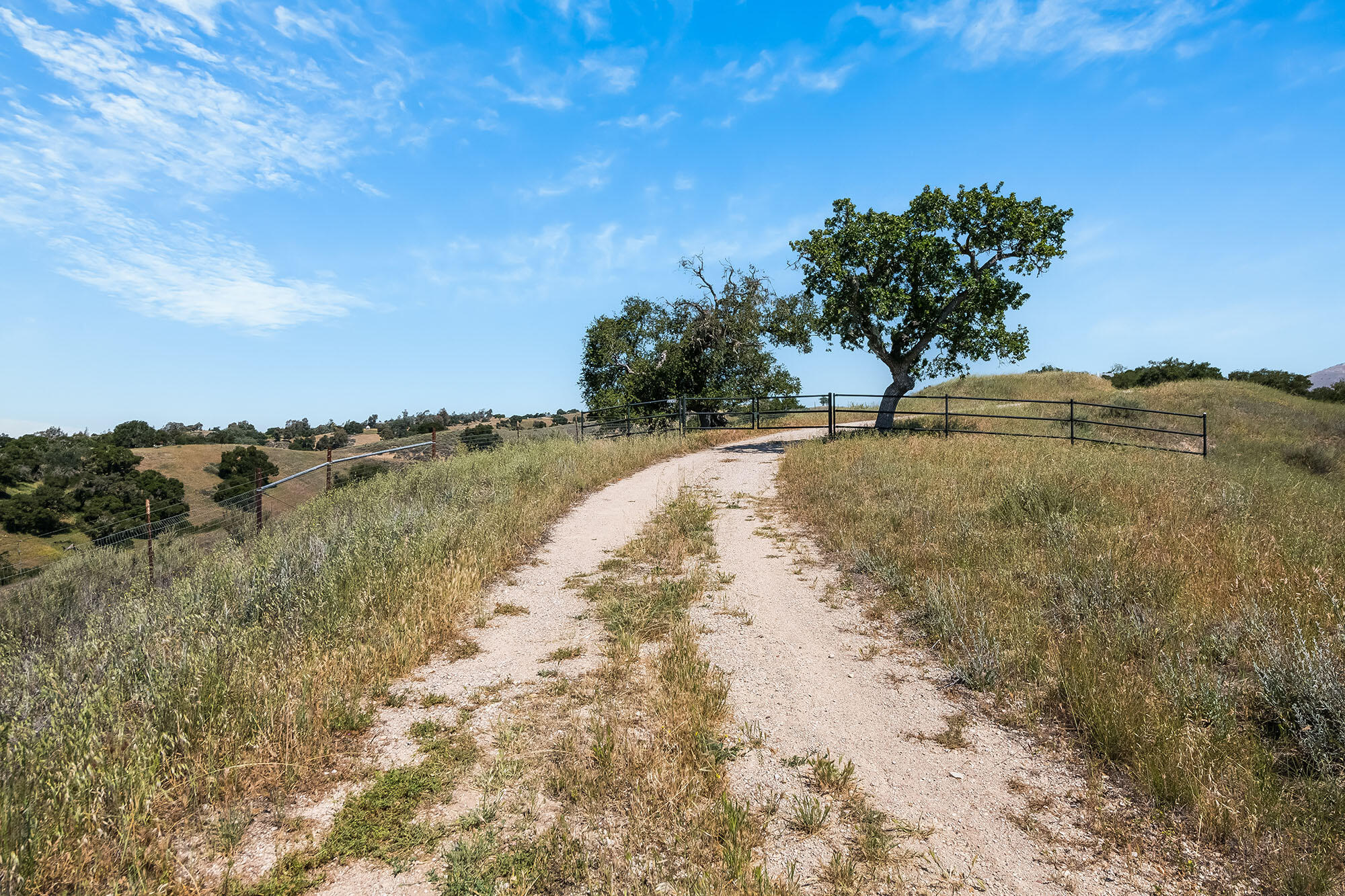 Santa Ynez, California, 93460, United States, 3 Bedrooms Bedrooms, ,3 BathroomsBathrooms,Residential,For Sale,1828139