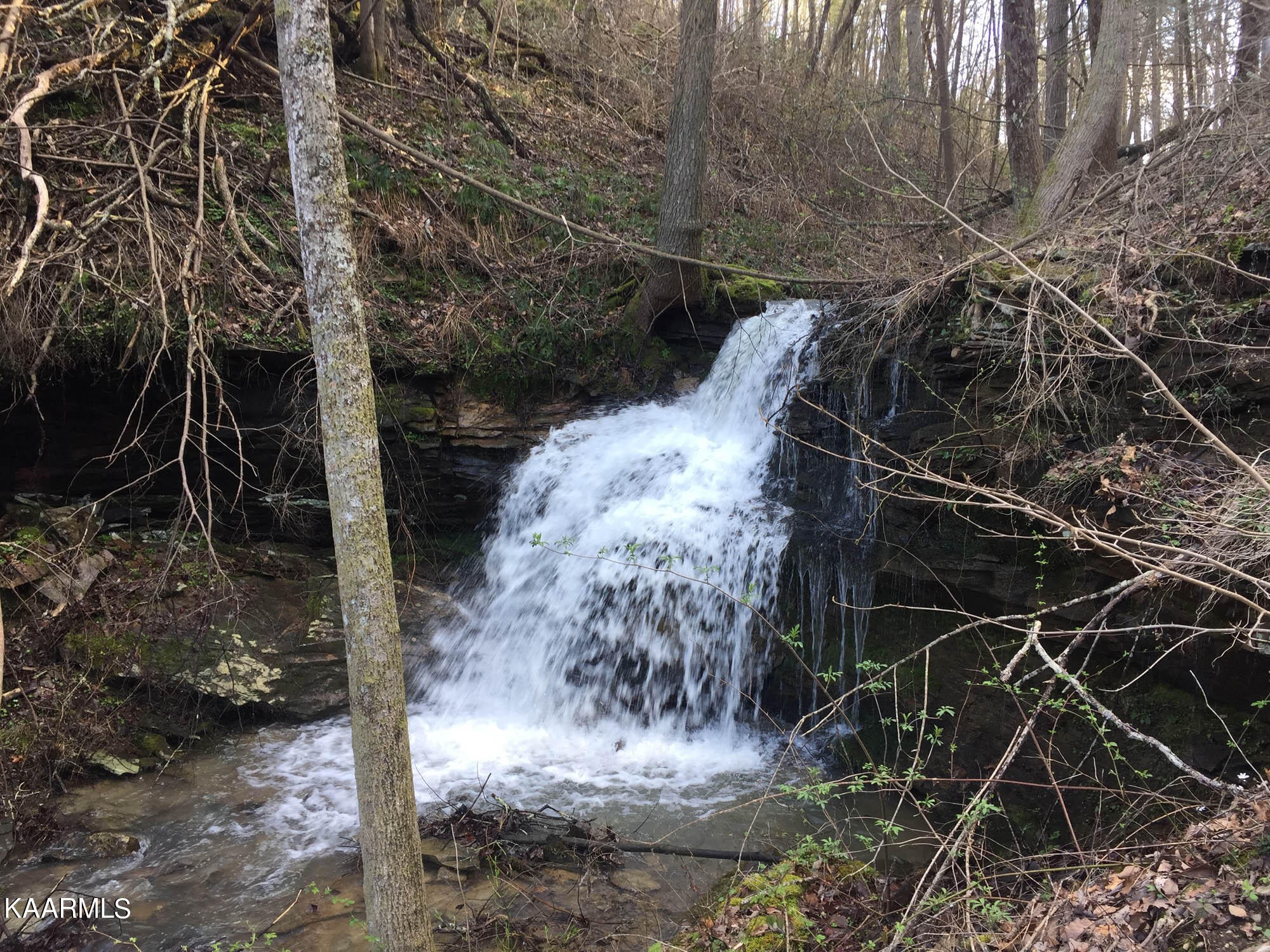 Pikeville, Tennessee, 37367, United States, ,Residential,For Sale,1943070