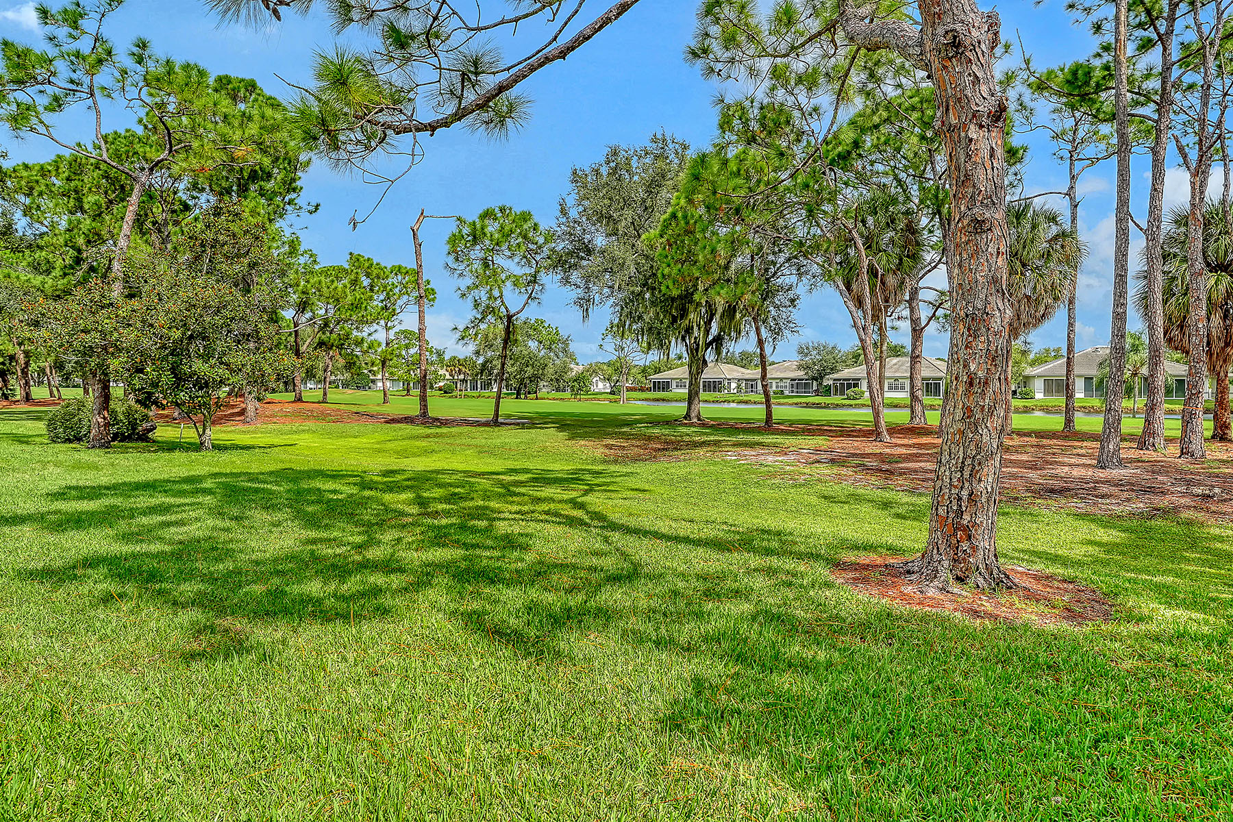  LYNDHURST COURT - THE MEADOWS - 物件實景
