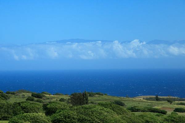 Address Unavailable, Hawi, Hawaii, 96719, United States, ,Land,For Sale,Address Unavailable,1683291