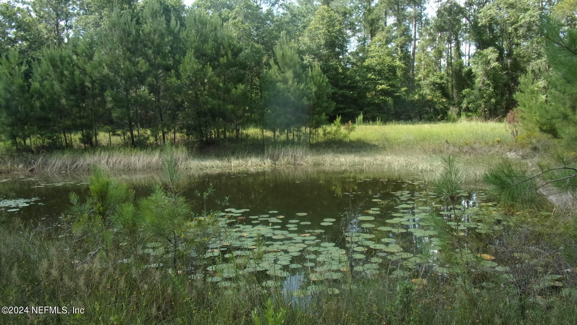 Palatka, Florida, 32177, United States, ,Residential,For Sale,1924559