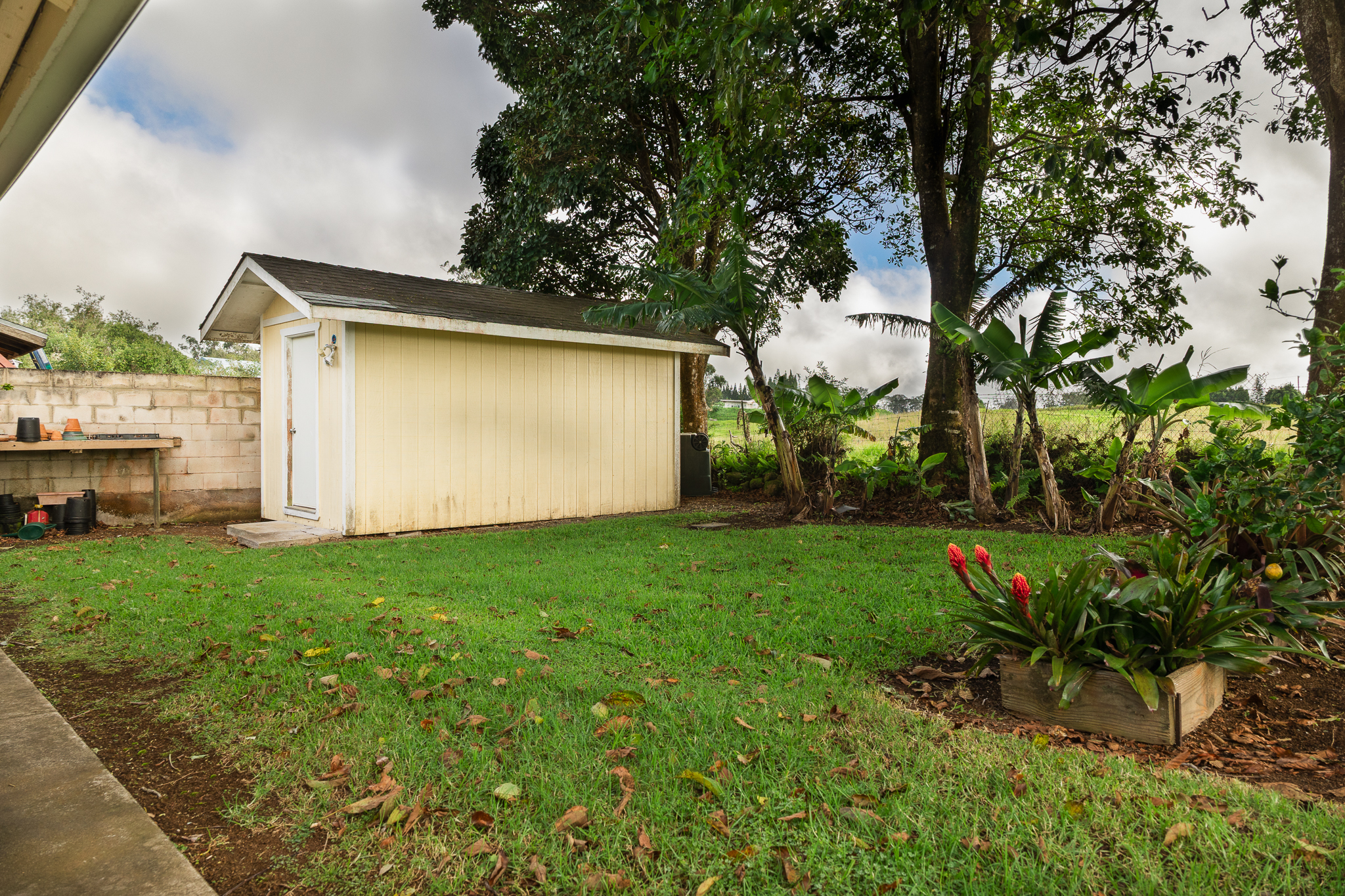  64-5108 Kalake Street, Kamuela, HI 96743 - 物件實景