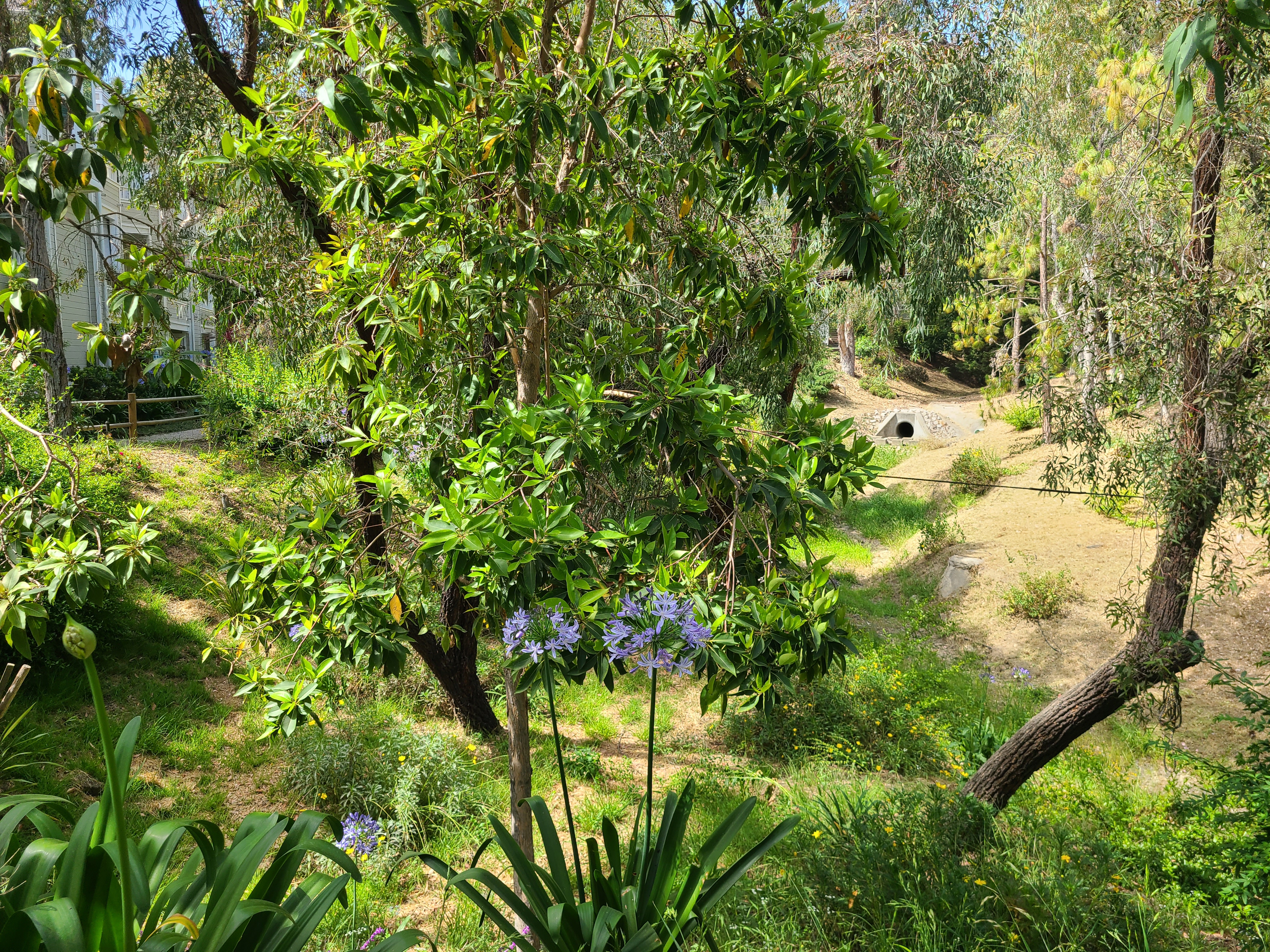 Goleta, California, 93117, United States, 1 Bedroom Bedrooms, ,1 BathroomBathrooms,Residential,For Sale,1868598
