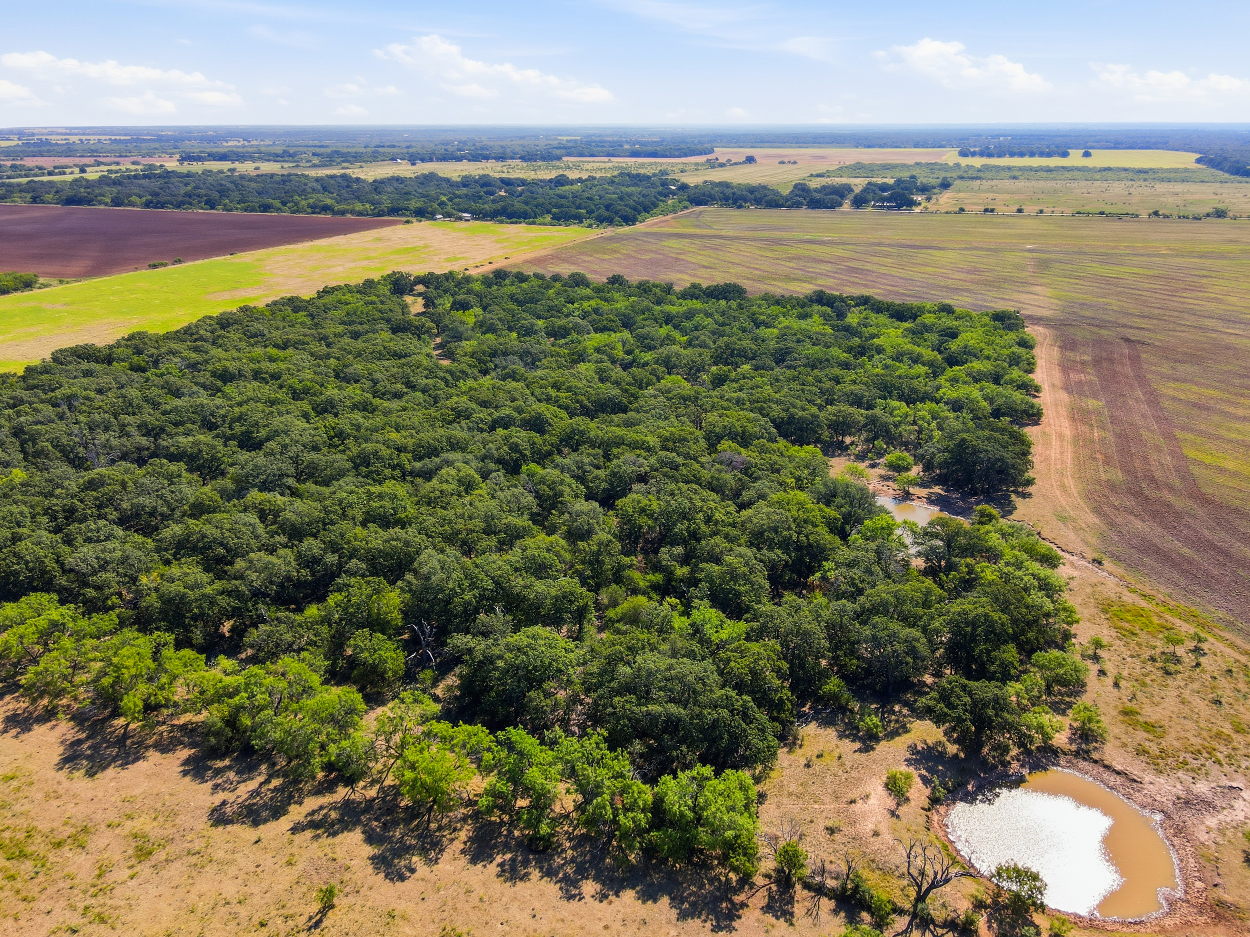 125 Acres of Texas Land for Recreation and Retreat - 物件實景