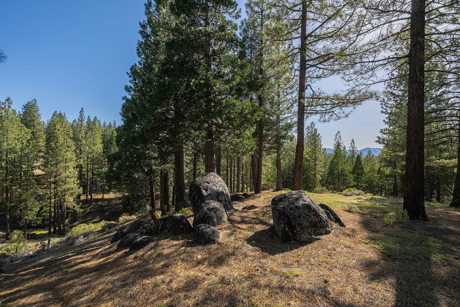  2.69 Private Acres in Nakoma with Stunning Eureka Peak Views - 物件實景