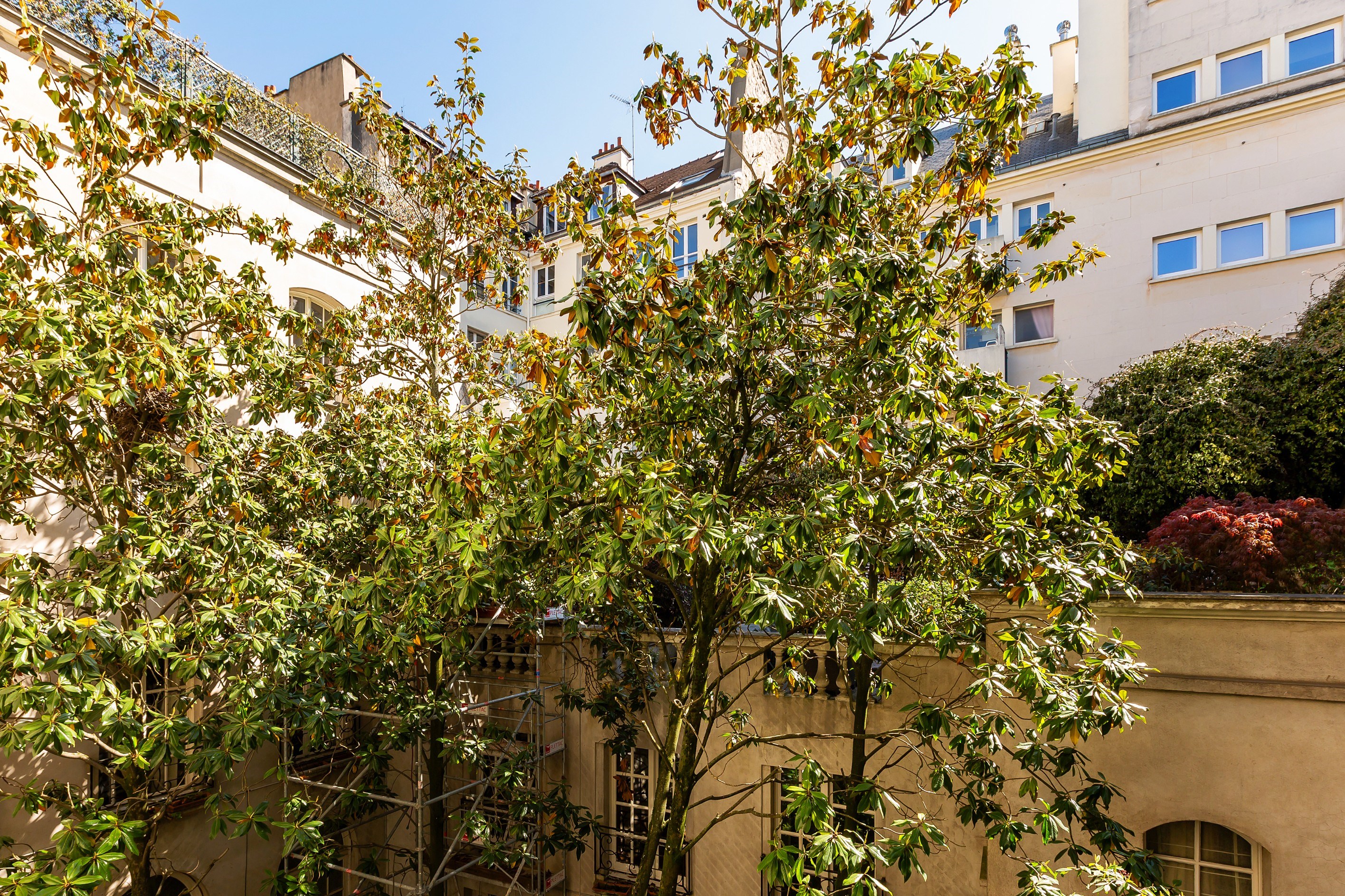  FOR SALE - Apartment - 4 bedrooms - Place St Sulpice - Jardin du Luxembourg - 7… - 物件實景