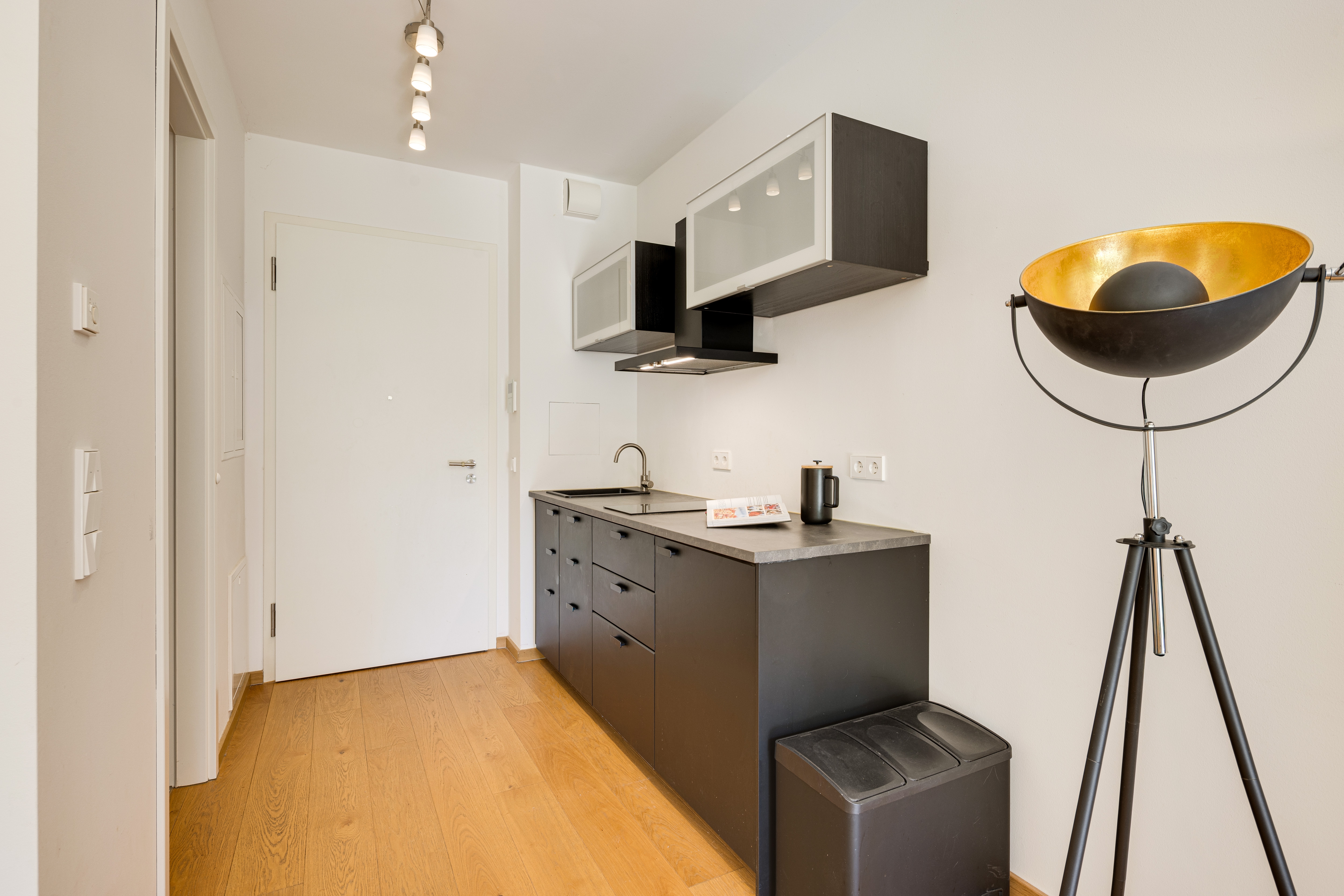  LIVING ISAR – a modern garden apartment located right next to the Isar. - 物件實景