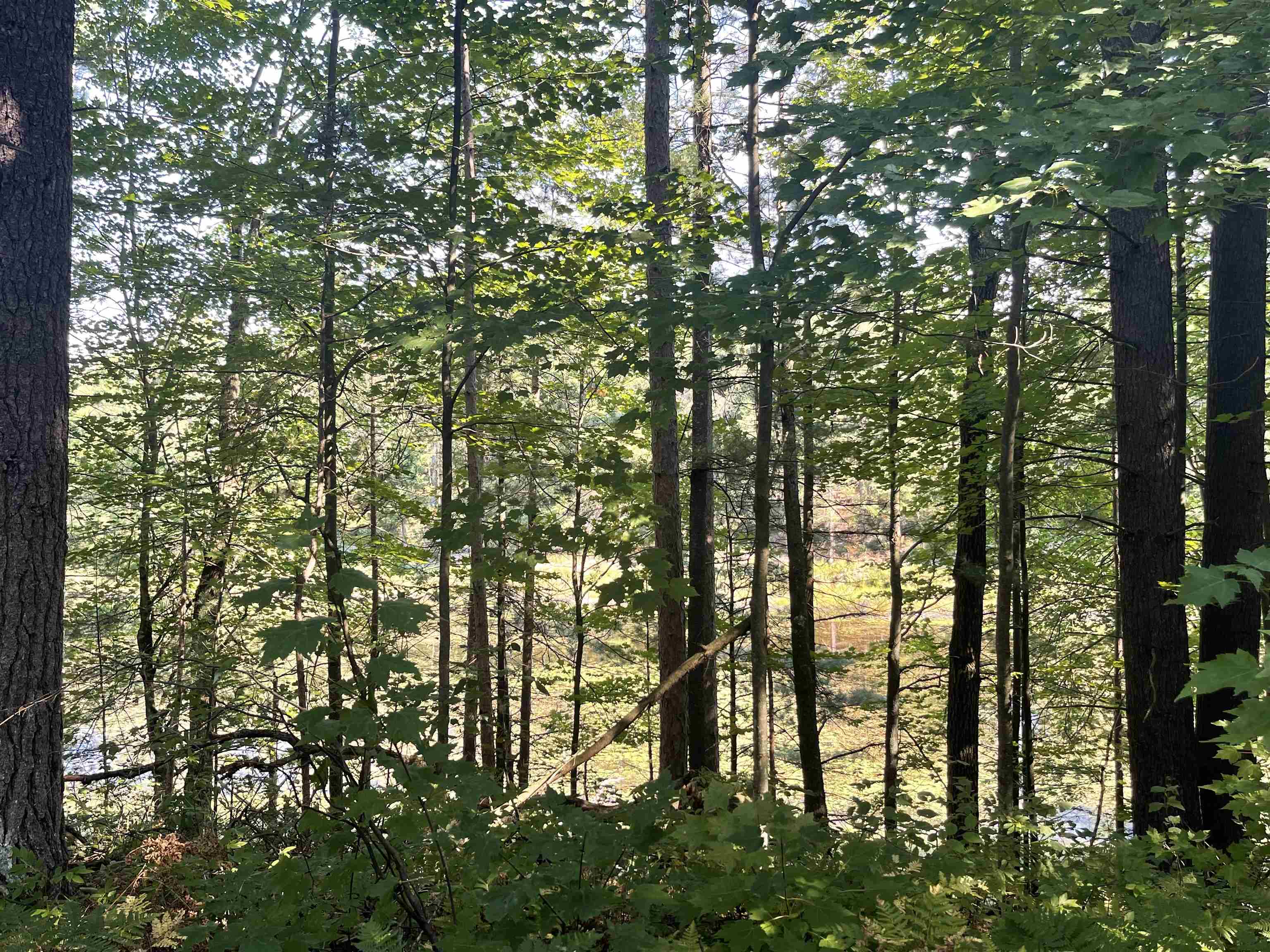 Harrison, Michigan, 48625, United States, 3 Bedrooms Bedrooms, ,3 BathroomsBathrooms,Residential,For Sale,2007492