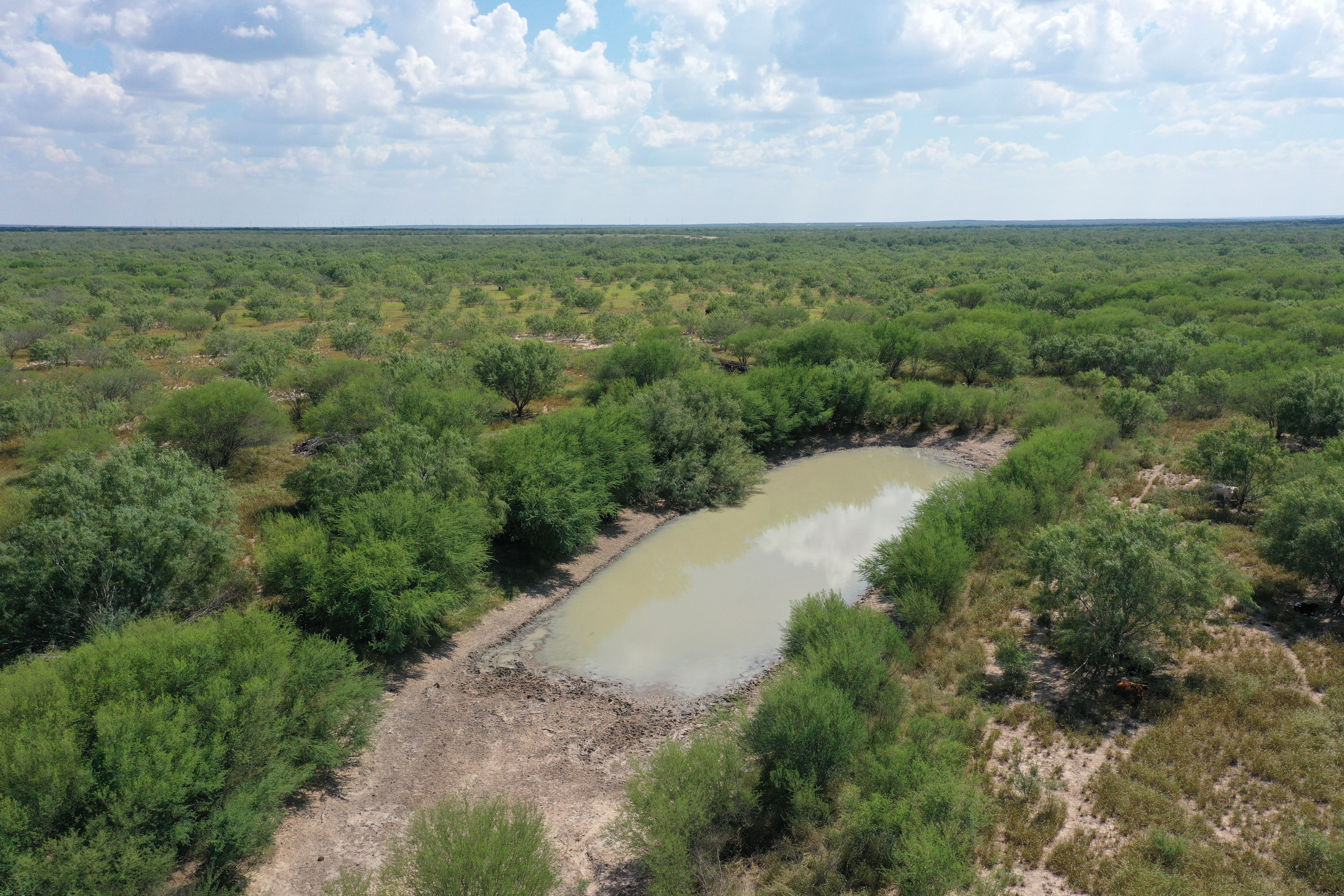  Historic El Tecomate Hunting Ranch - 物件實景