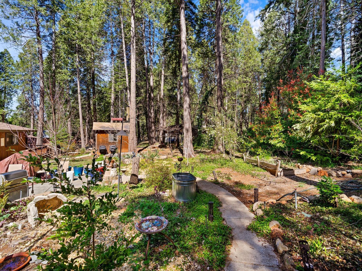 Nevada City, California, 95959, United States, 3 Bedrooms Bedrooms, ,3 BathroomsBathrooms,Residential,For Sale,1945021