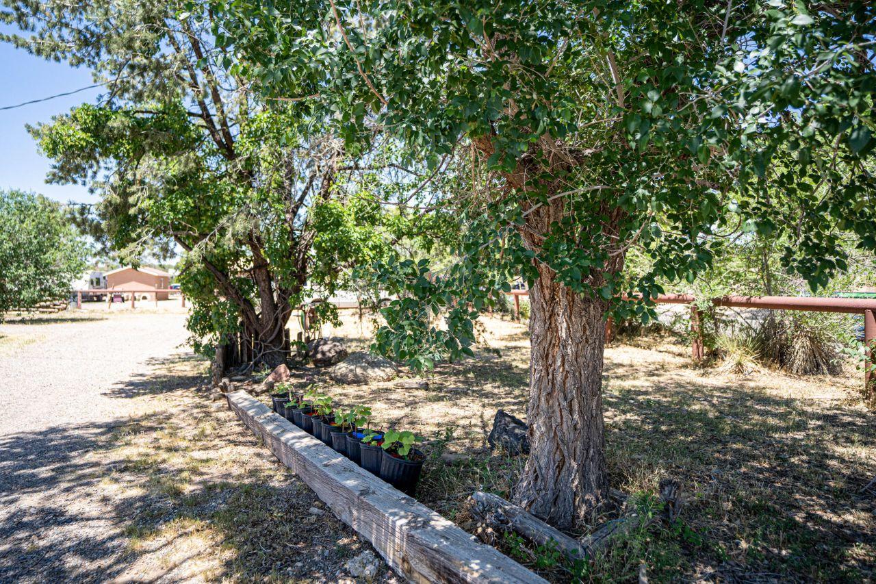 Los Ranchos, New Mexico, 87114, United States, 4 Bedrooms Bedrooms, ,5 BathroomsBathrooms,Residential,For Sale,1720943