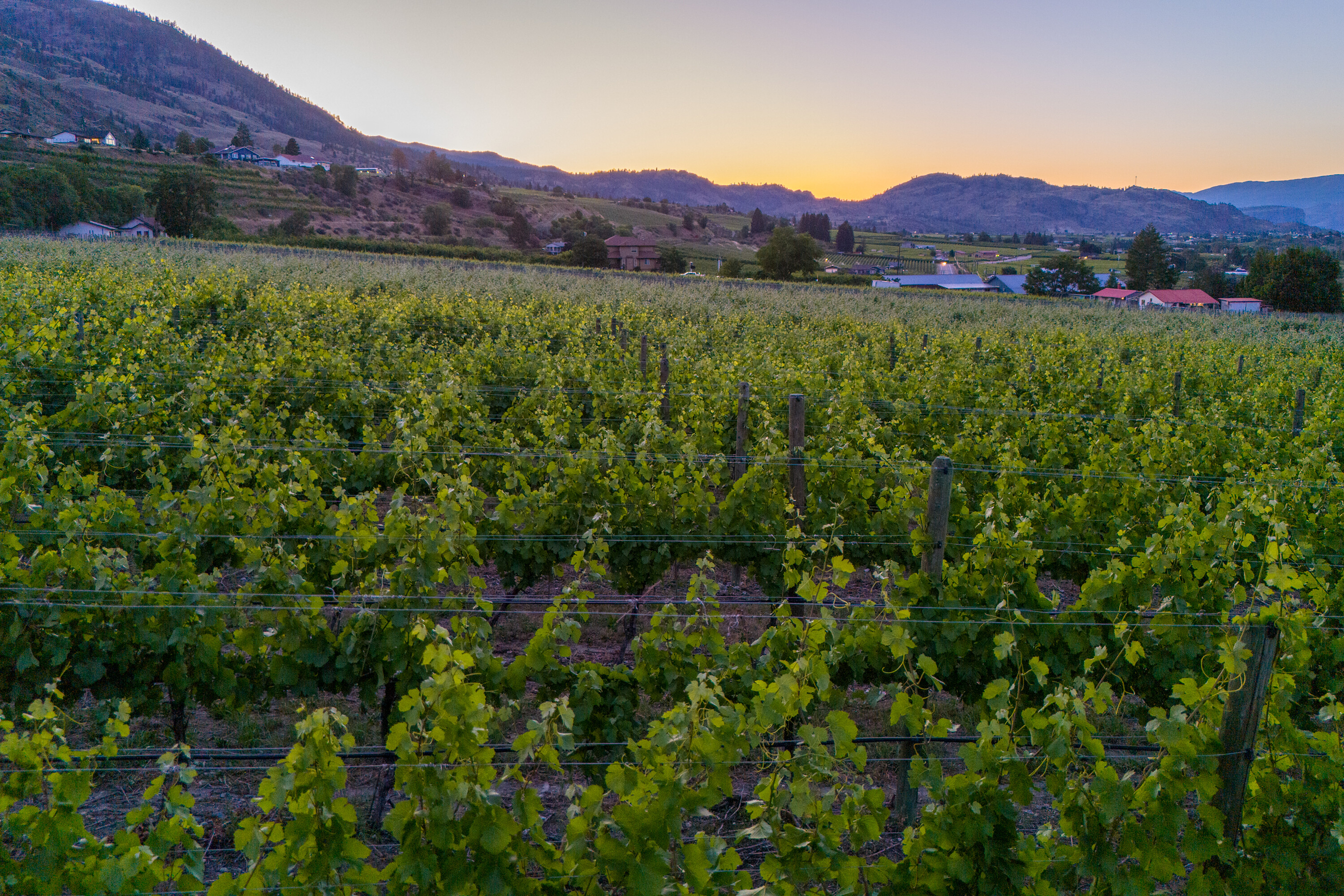  Lakefront Winery Receivership - 物件實景