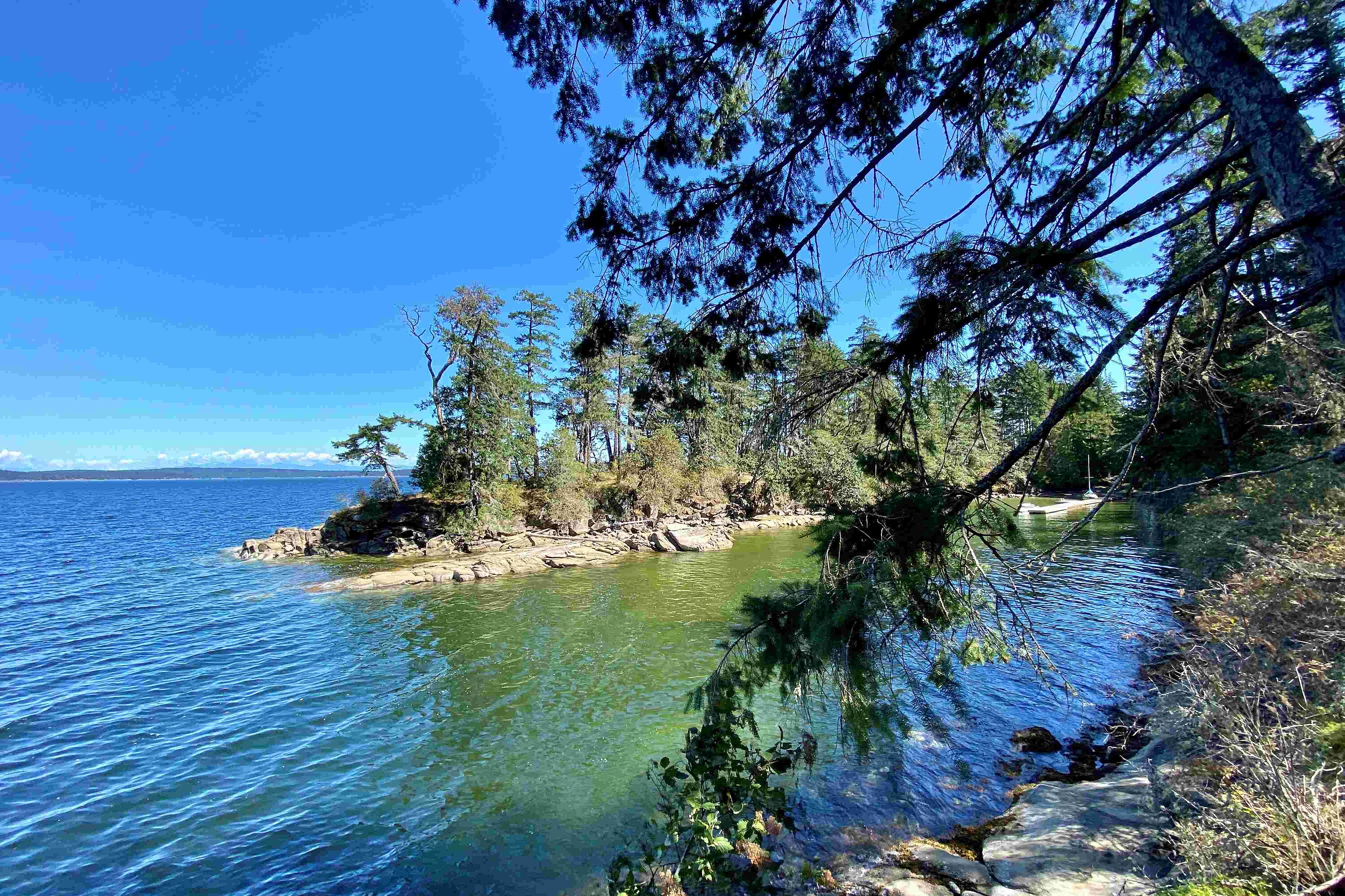  Stunning Waterfront Property - 物件實景