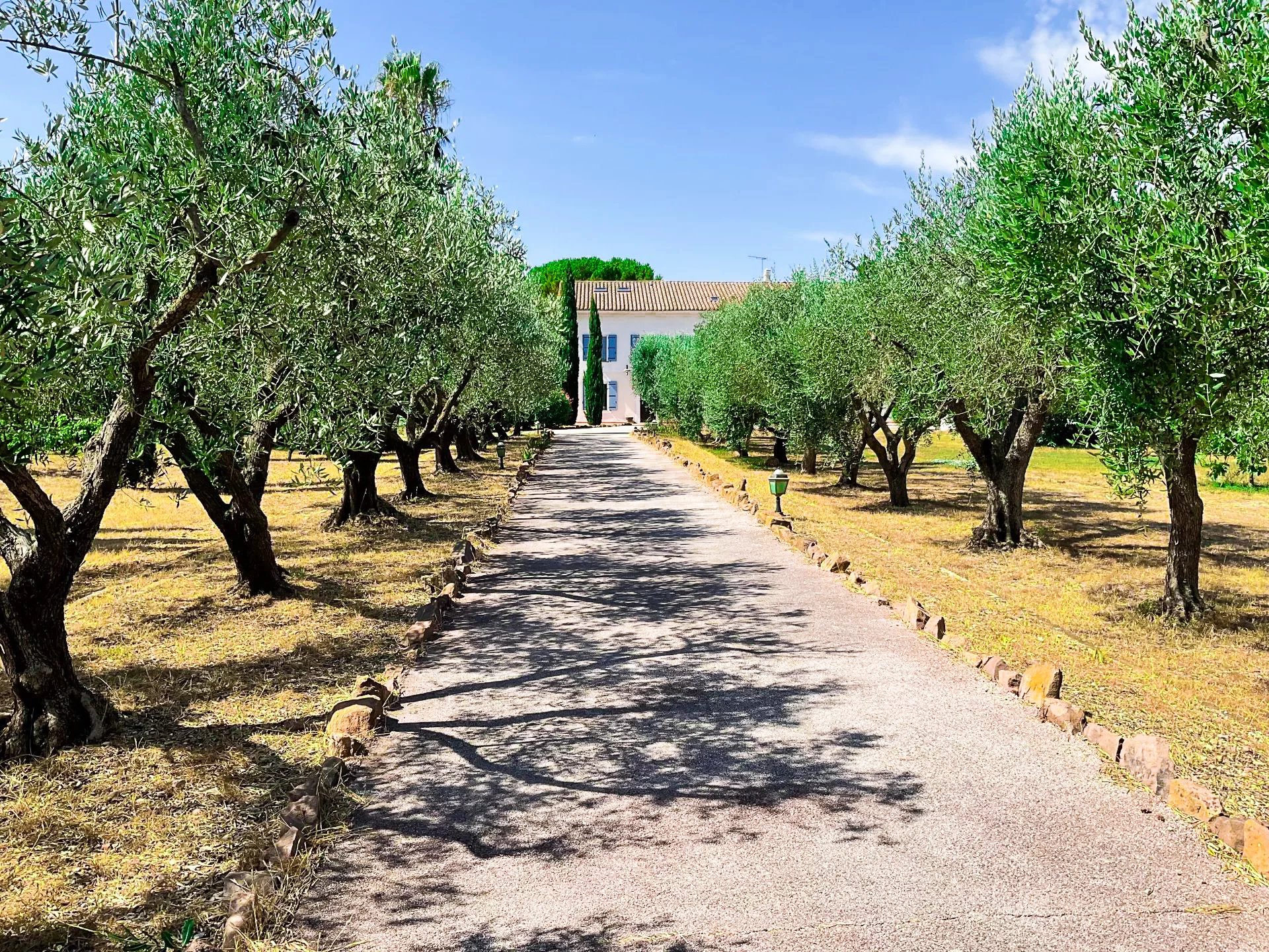Solliès-Pont, Provence-Alpes-Côte d’Azur, 83210, FR, 5 Bedrooms Bedrooms, ,6 BathroomsBathrooms,Residential,For Sale,1907587