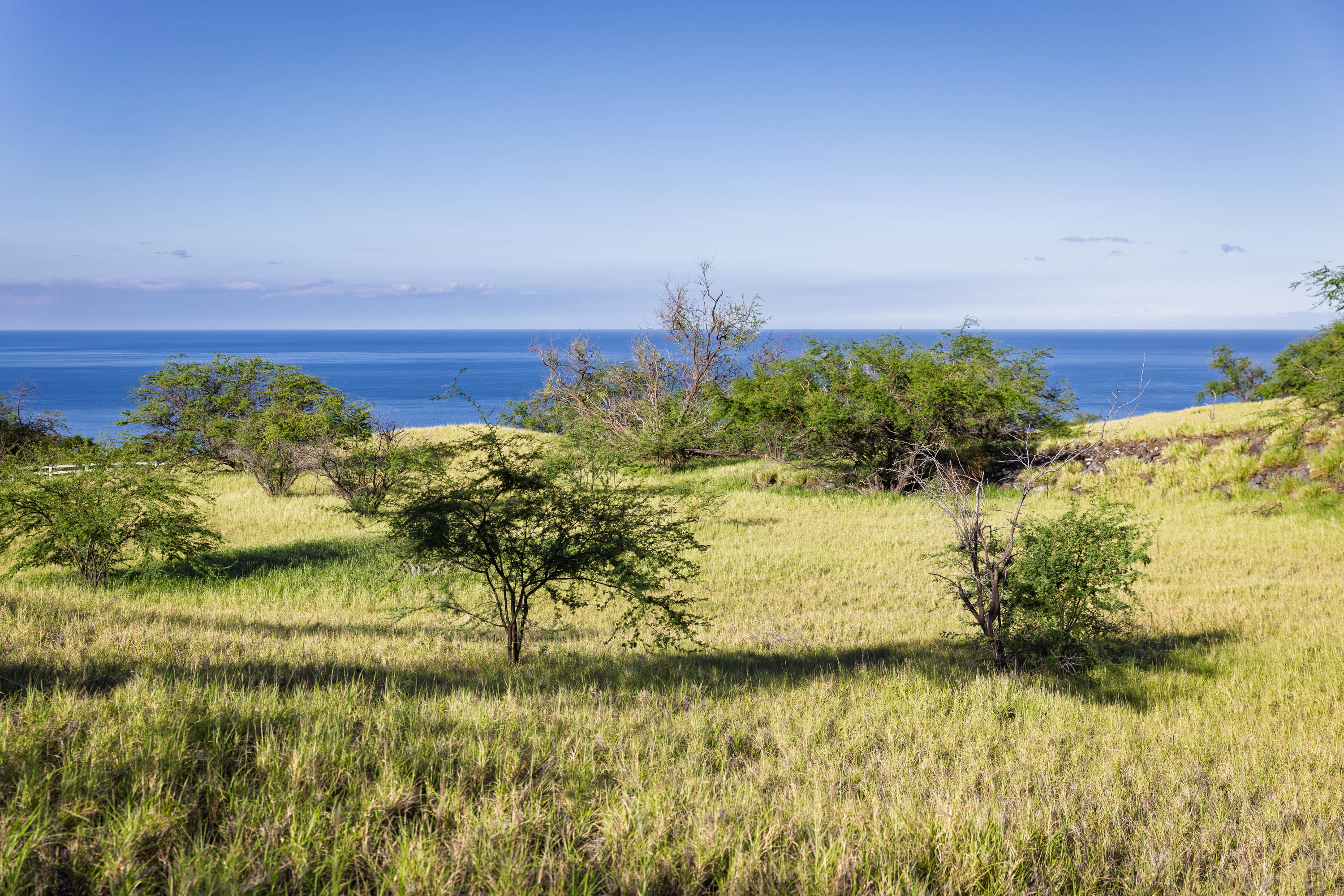  59-670 Kaala Road, Kamuela, HI, 96743 - 物件實景