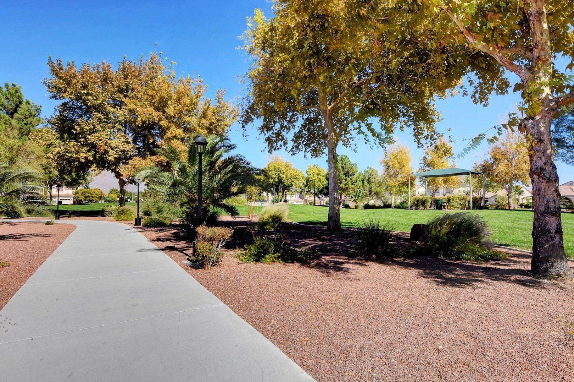  New to Market - 物件實景