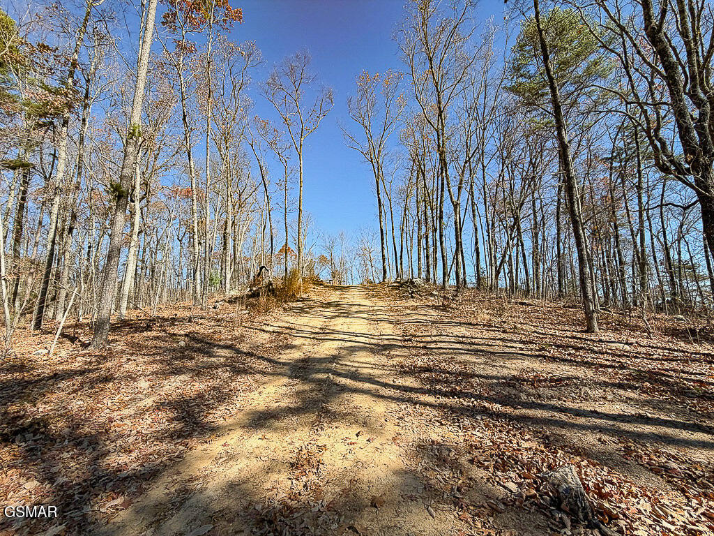 Sevierville, Tennessee, 37876, United States, ,Land,For Sale,2008093