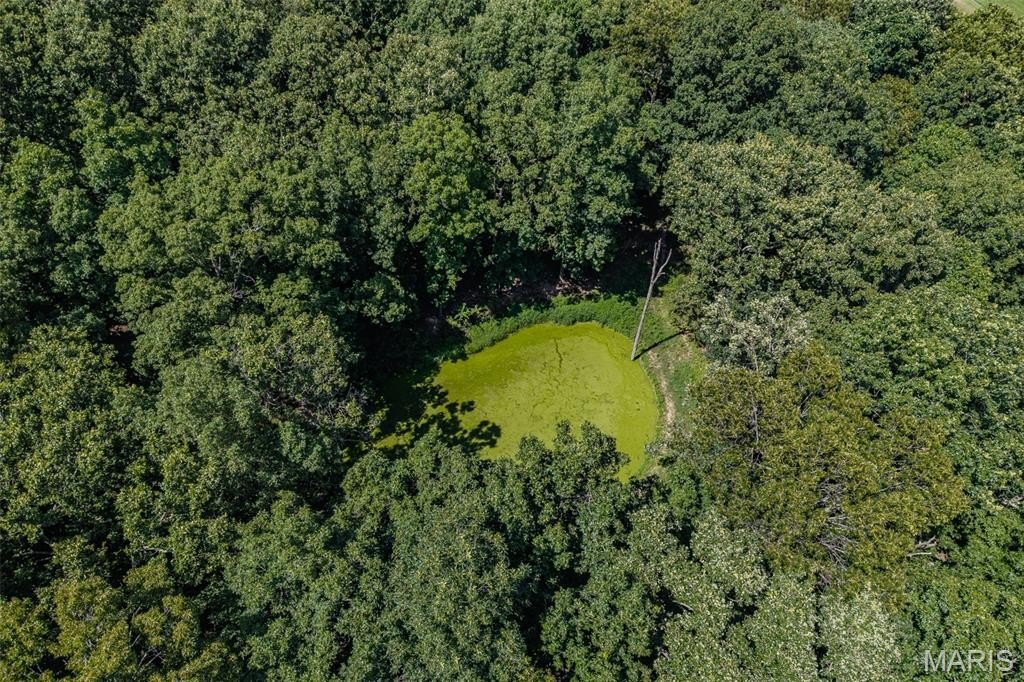 Lebanon, Missouri, 65536, United States, ,Residential,For Sale,1983425