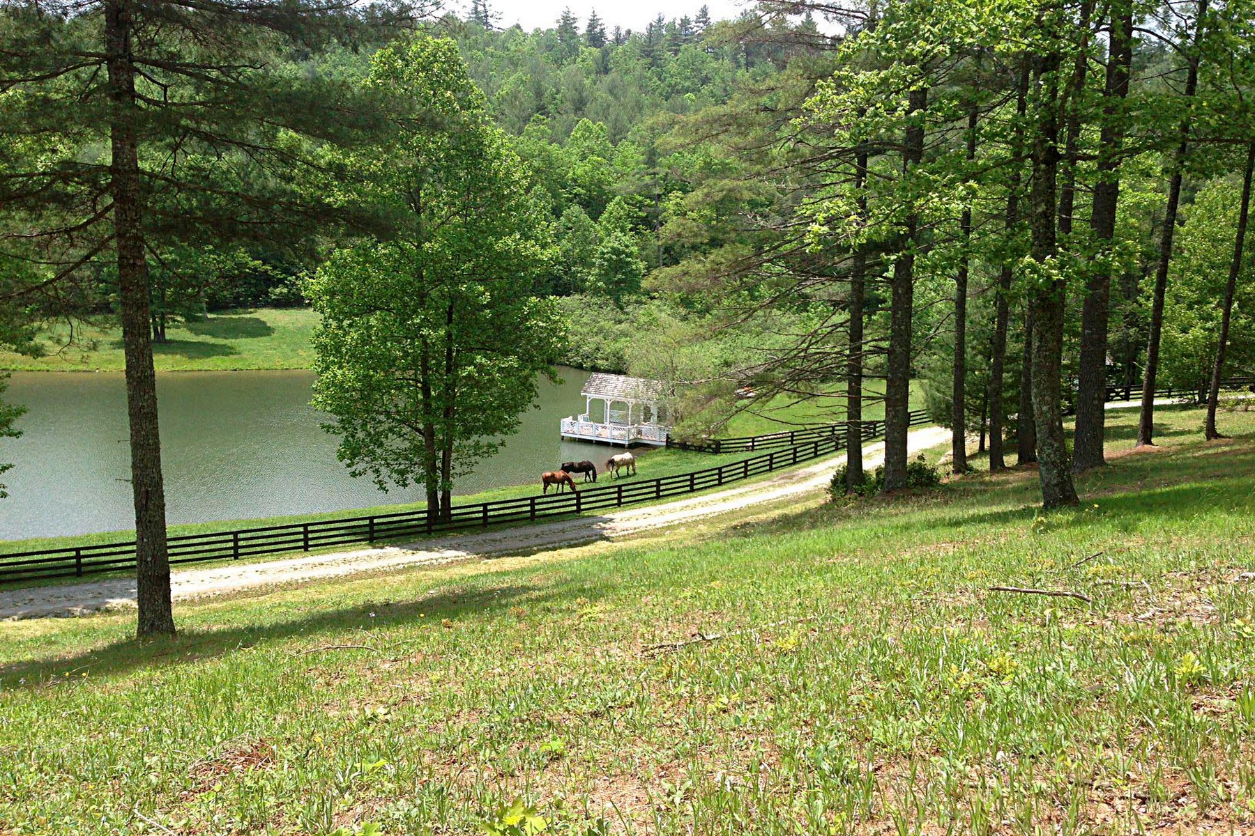  1356 Blue Valley Road - 物件實景