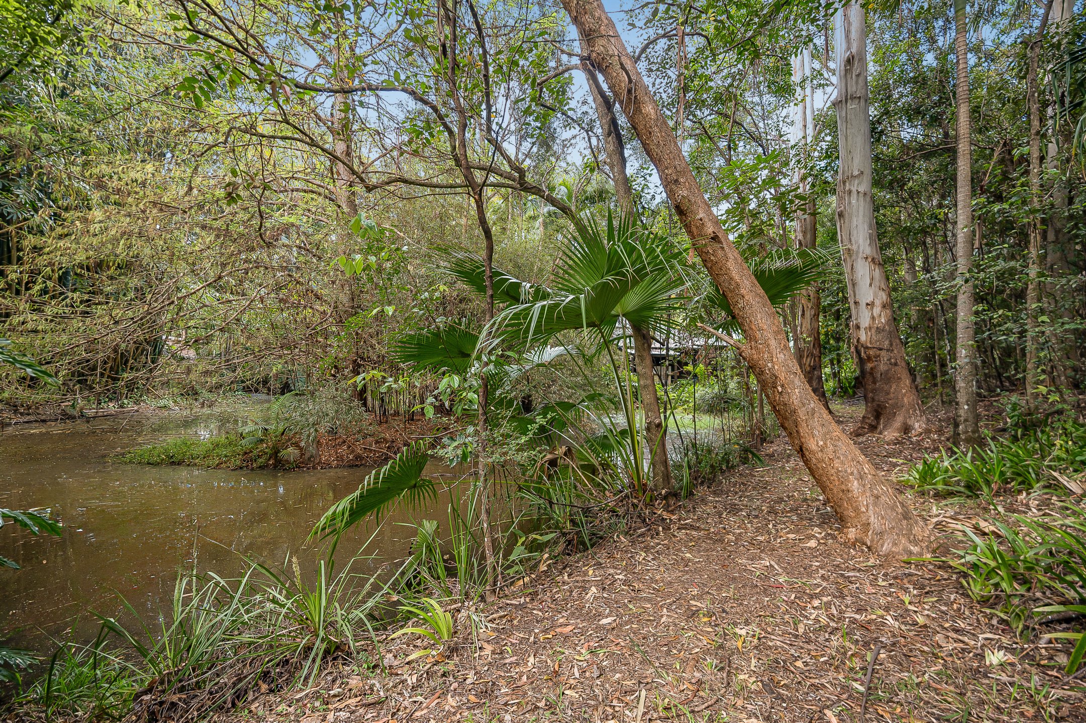  19 Taylors Lane, Ewingsdale - 物件實景