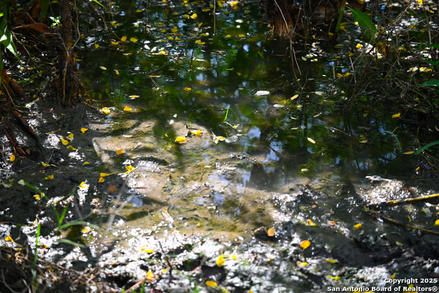 Nixon, Texas, 78140, United States, ,Residential,For Sale,1988320