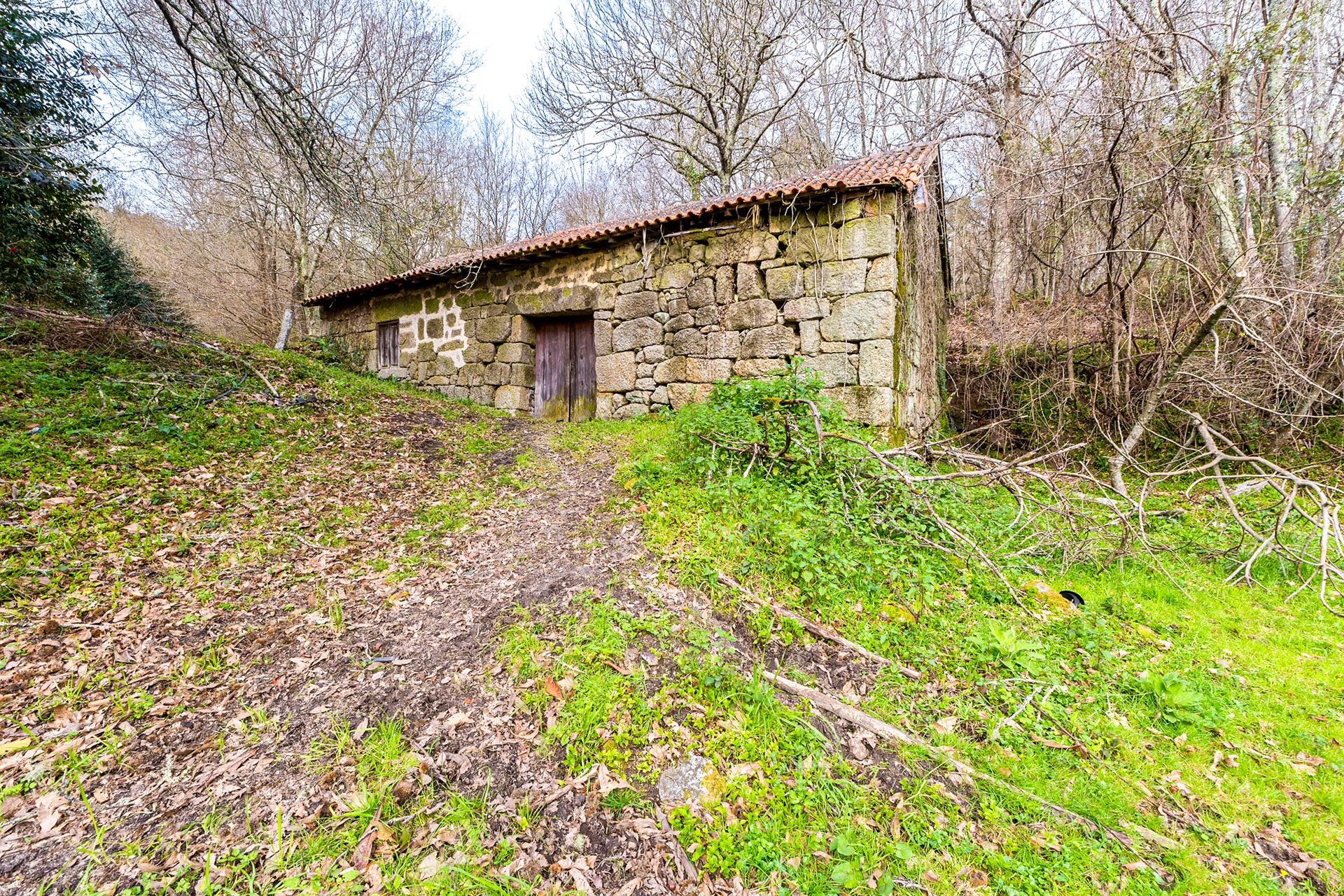  Farm for Sale - 物件實景