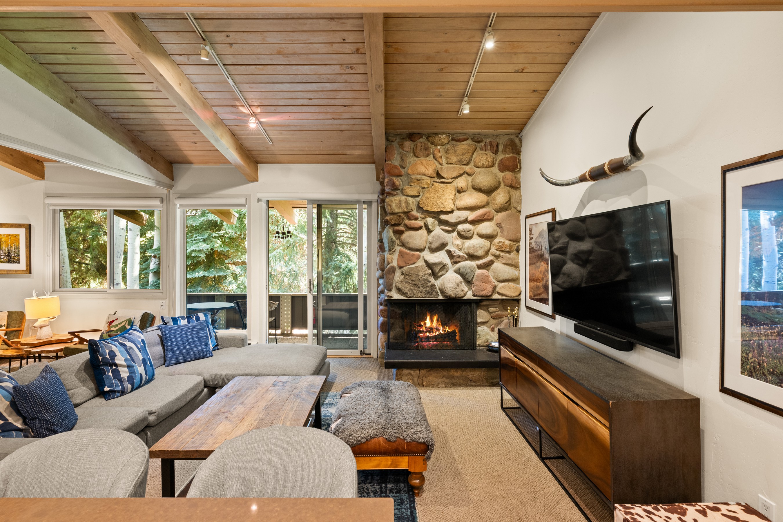  700 Ute Avenue, Aspen, CO, 81611 - 物件實景