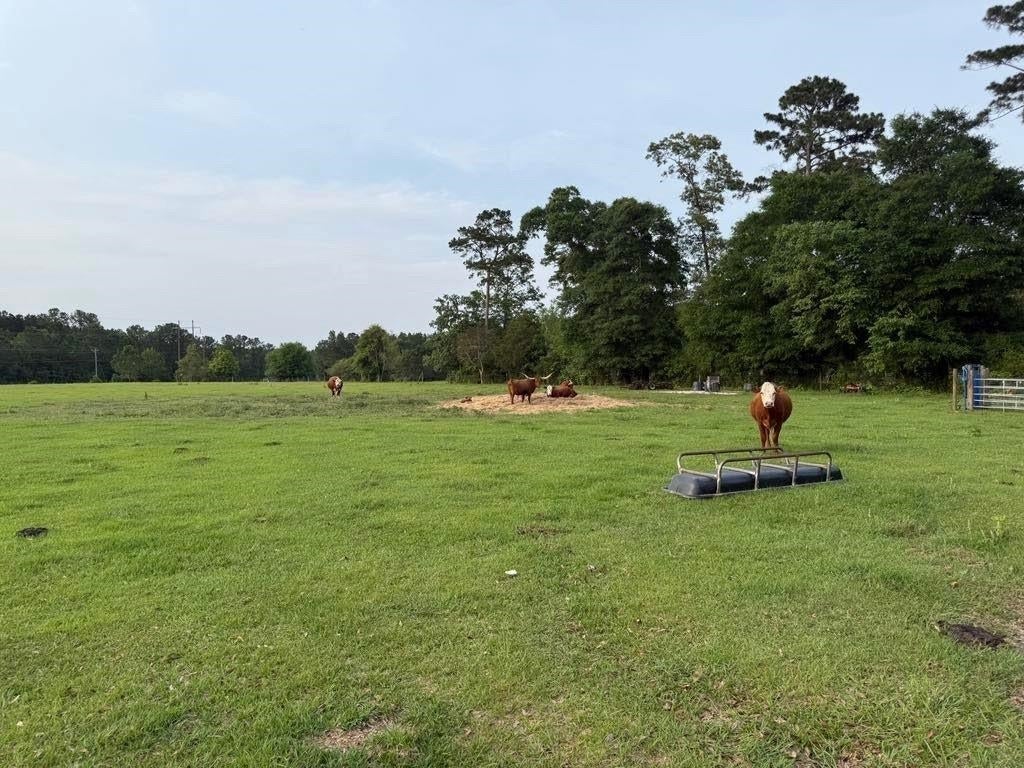 Andalusia, Alabama, 36421, United States, 6 Bedrooms Bedrooms, ,4 BathroomsBathrooms,Residential,For Sale,1793704