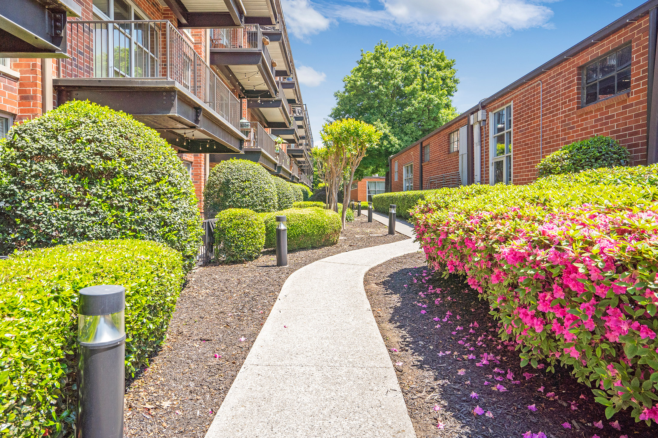  Amazing Top Floor Two Bedroom Loft in the Heart of Chamblee - 物件實景