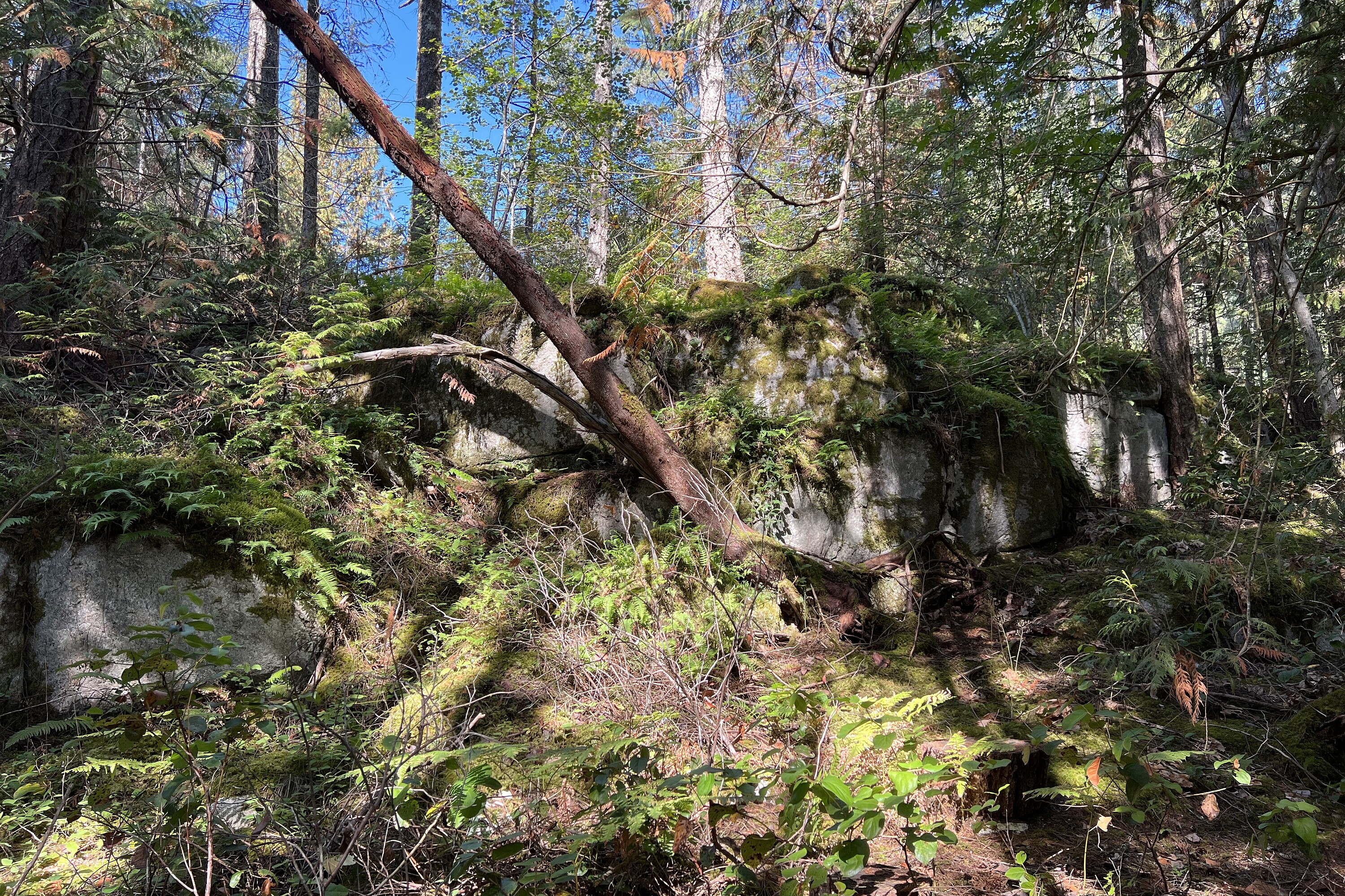  Sechelt, Sunshine Coast - 物件實景
