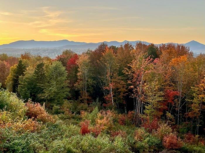 Stowe, Vermont, 05672, United States, 3 Bedrooms Bedrooms, ,2 BathroomsBathrooms,Residential,For Sale,1907047