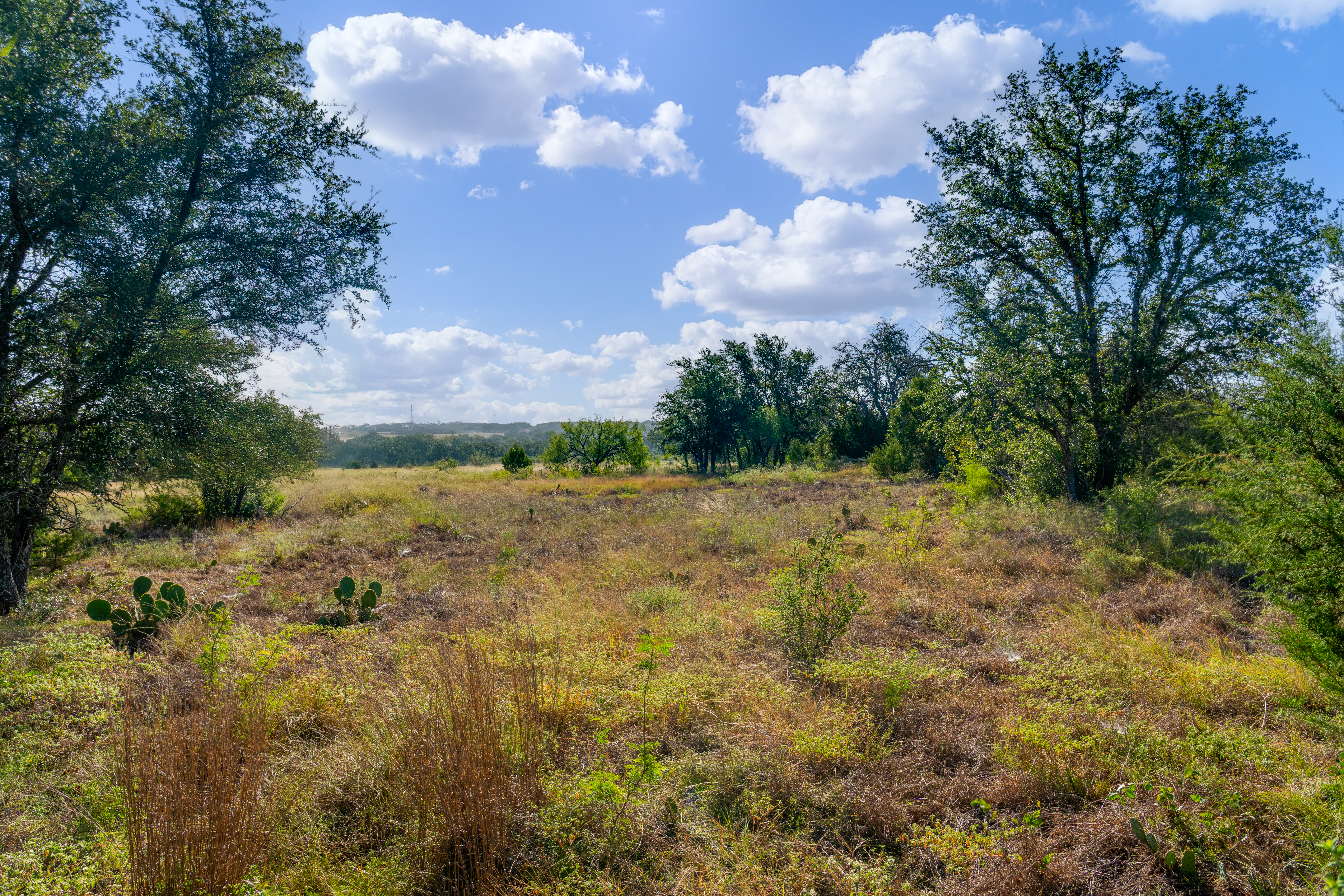  7994 W U.S. Highway 290, Johnson City, TX 78636 - 物件實景