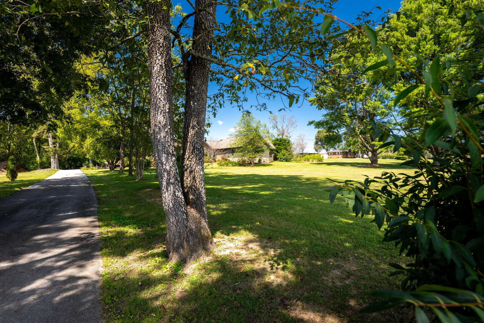 Harrison, Tennessee, 37341, United States, 4 Bedrooms Bedrooms, ,4 BathroomsBathrooms,Residential,For Sale,1951177