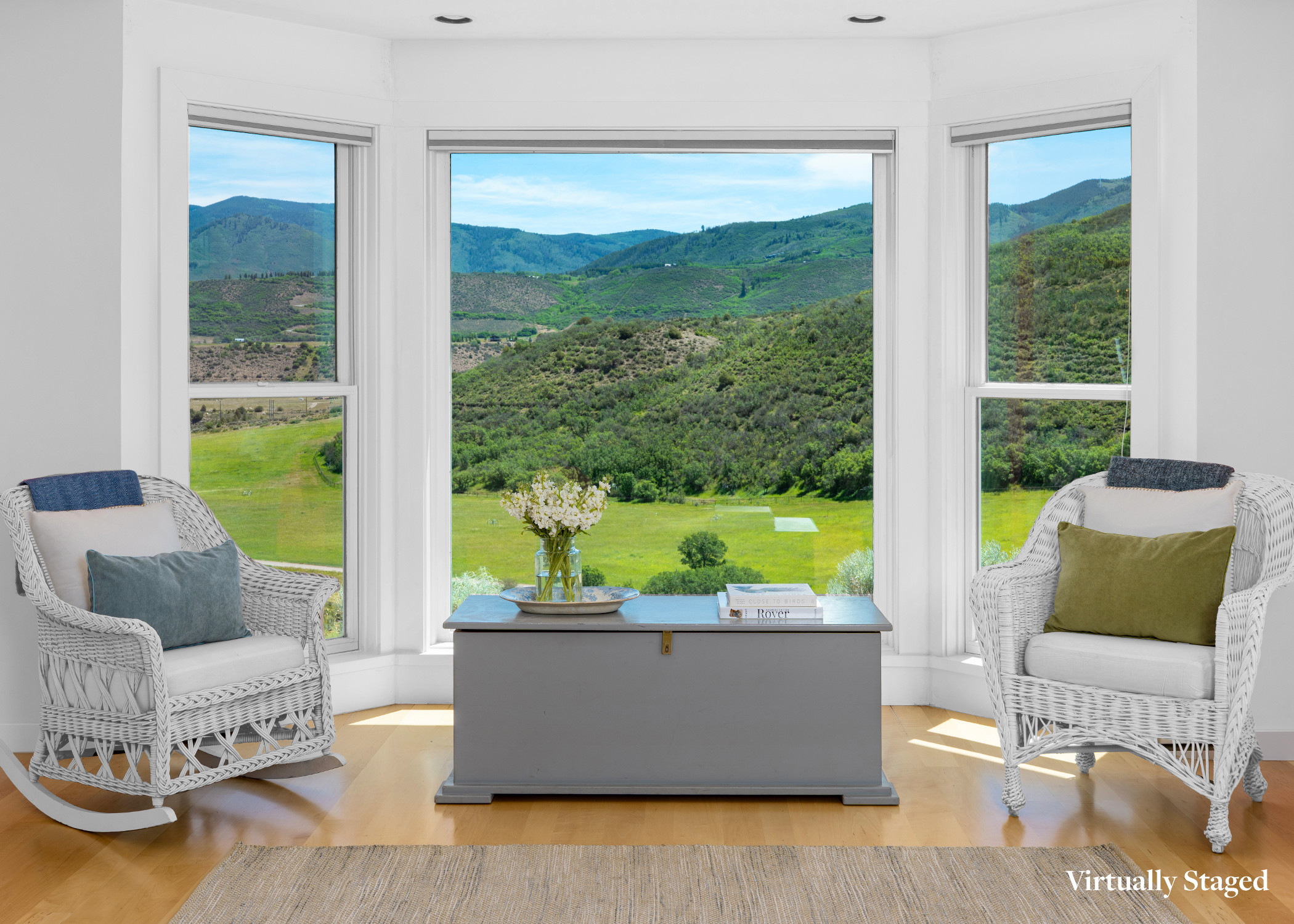 679 Brush Creek Road, Aspen, CO 81611 - 物件實景