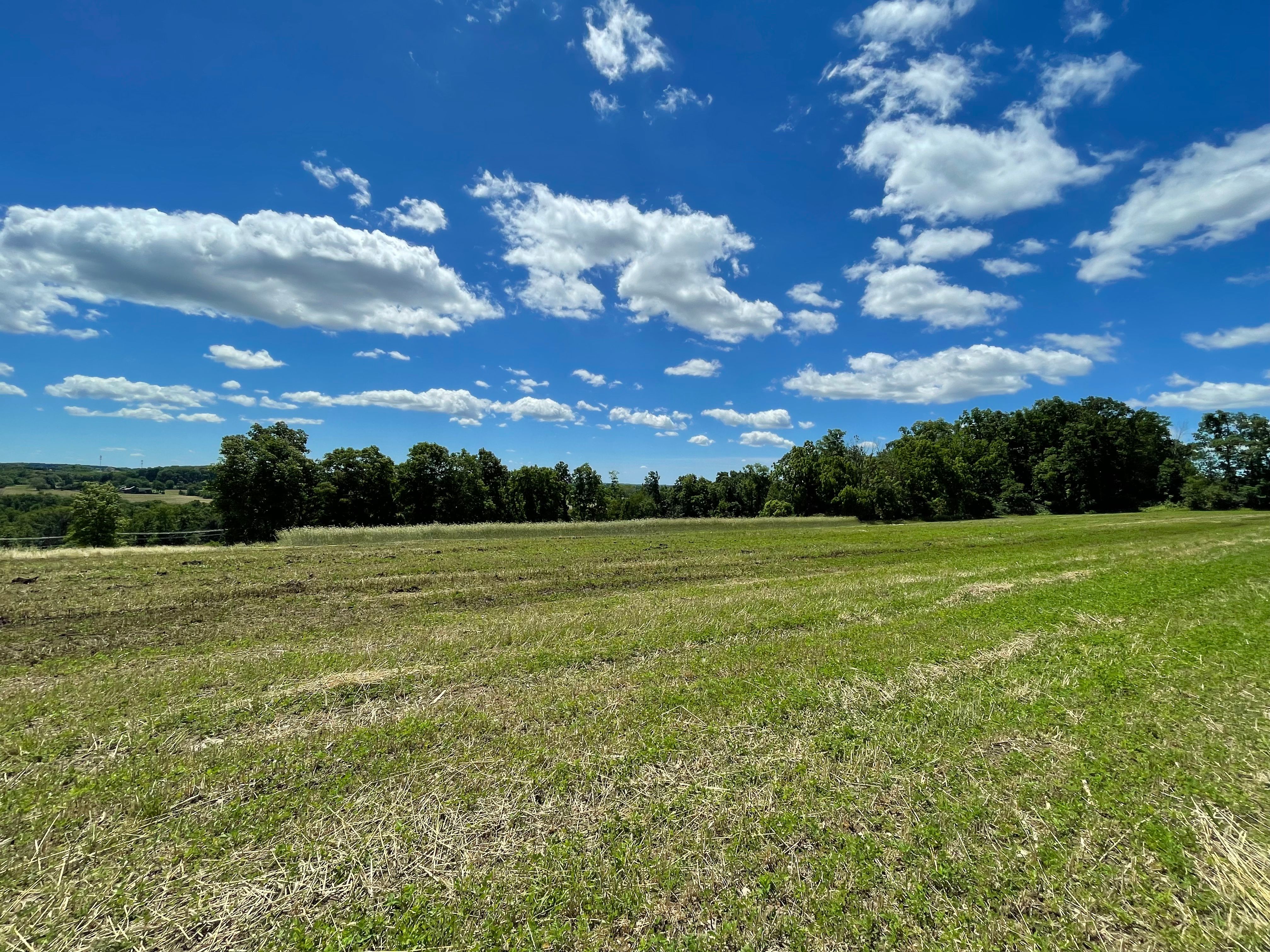  4099 Curly Hill Road, Doylestown, PA 18902 - 物件實景