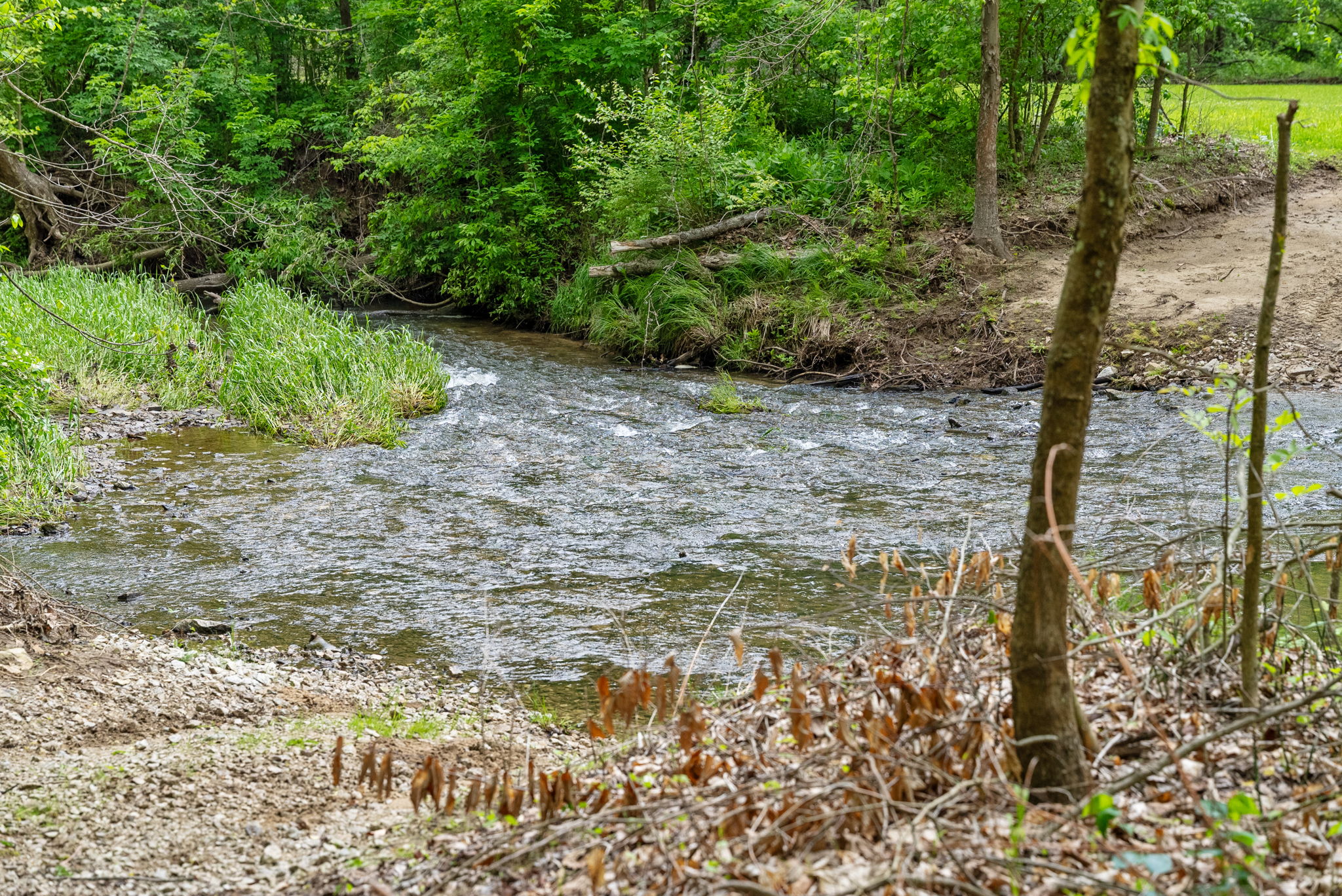 Rosedale, Indiana, 47874, United States, ,Land,For Sale,2049036