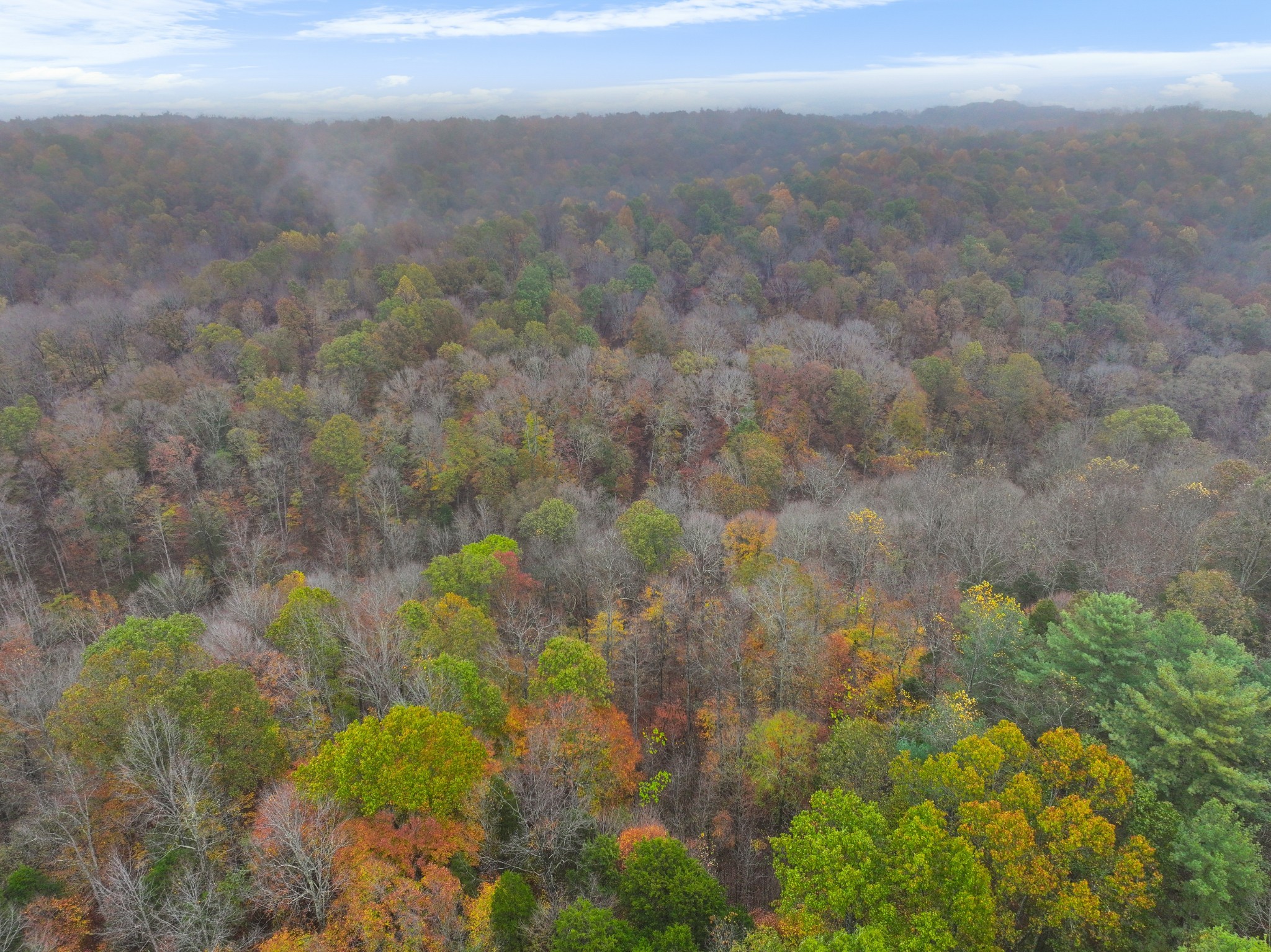 Cunningham, Tennessee, 37052, United States, ,Residential,For Sale,1920443