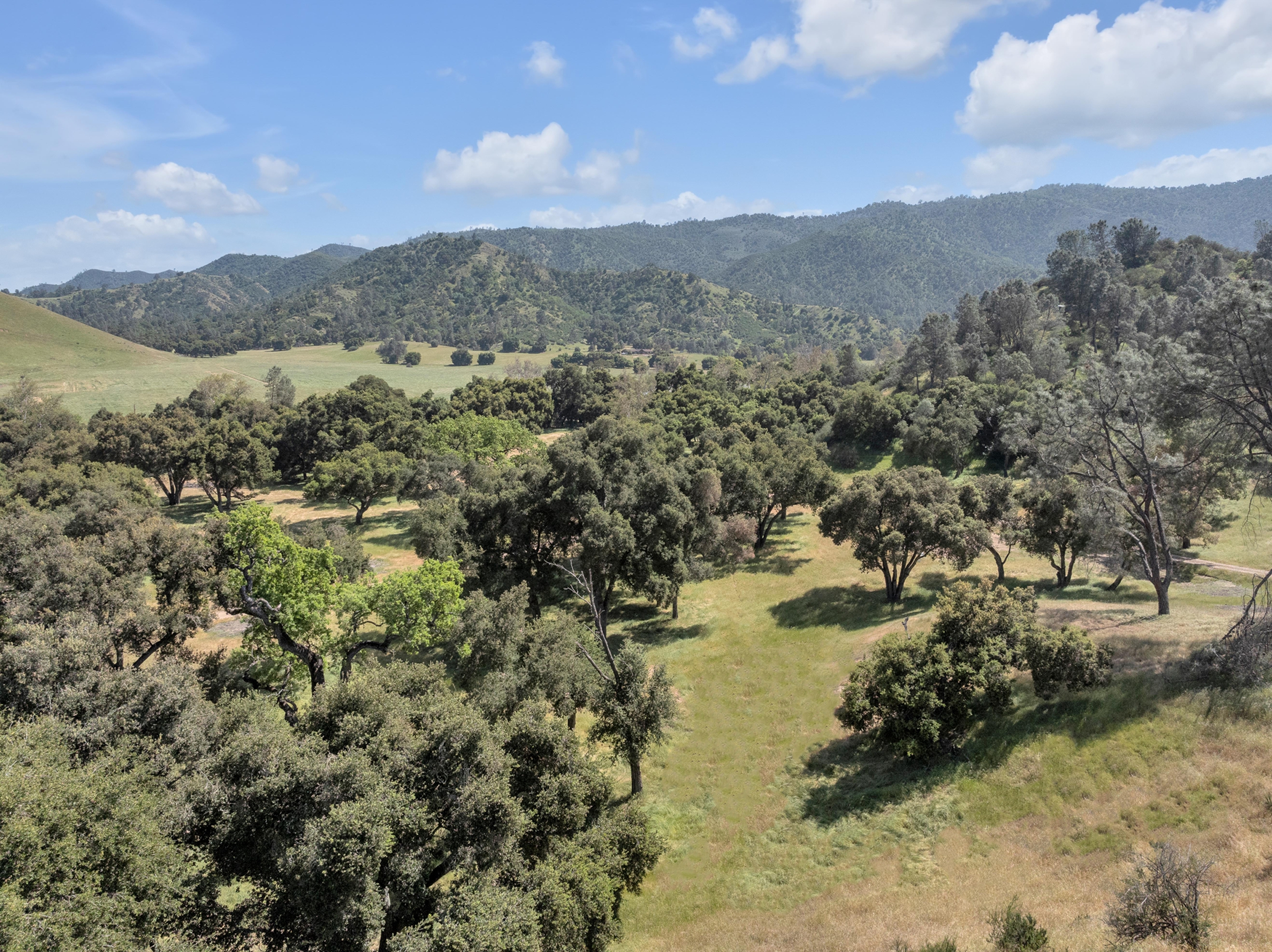  770 Limekiln Road - 物件實景