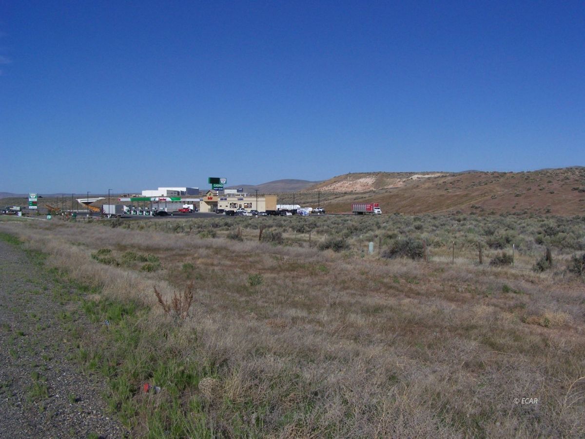 Elko, Nevada, 89801, United States, ,Land,For Sale,1838764