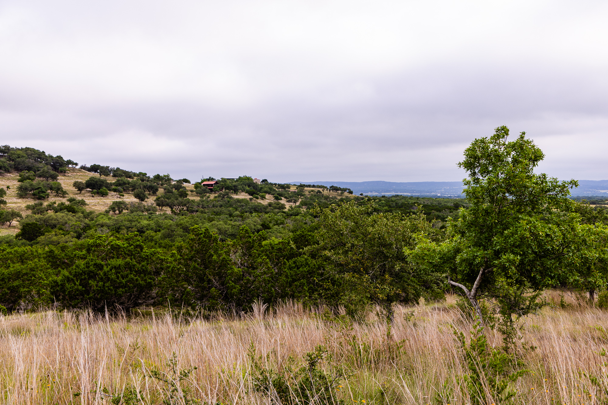  Expansive 10-Acre Lot - 物件實景