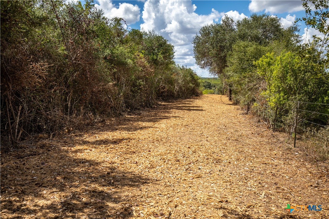 Cuero, Texas, 77954, United States, ,Residential,For Sale,1963995